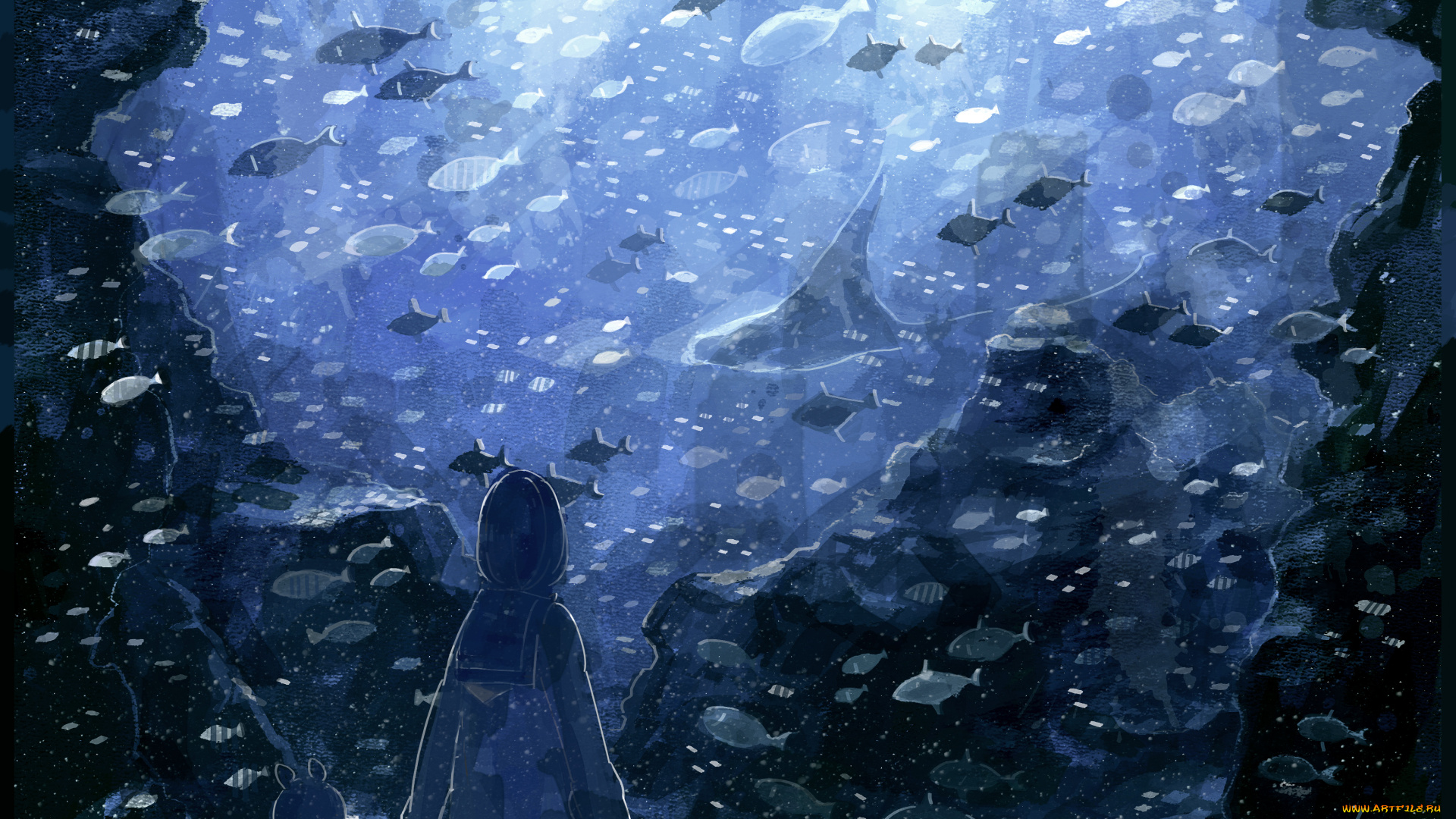 аниме, животные, , существа, рыбки, аквариум, свитер, девочка, nomiya