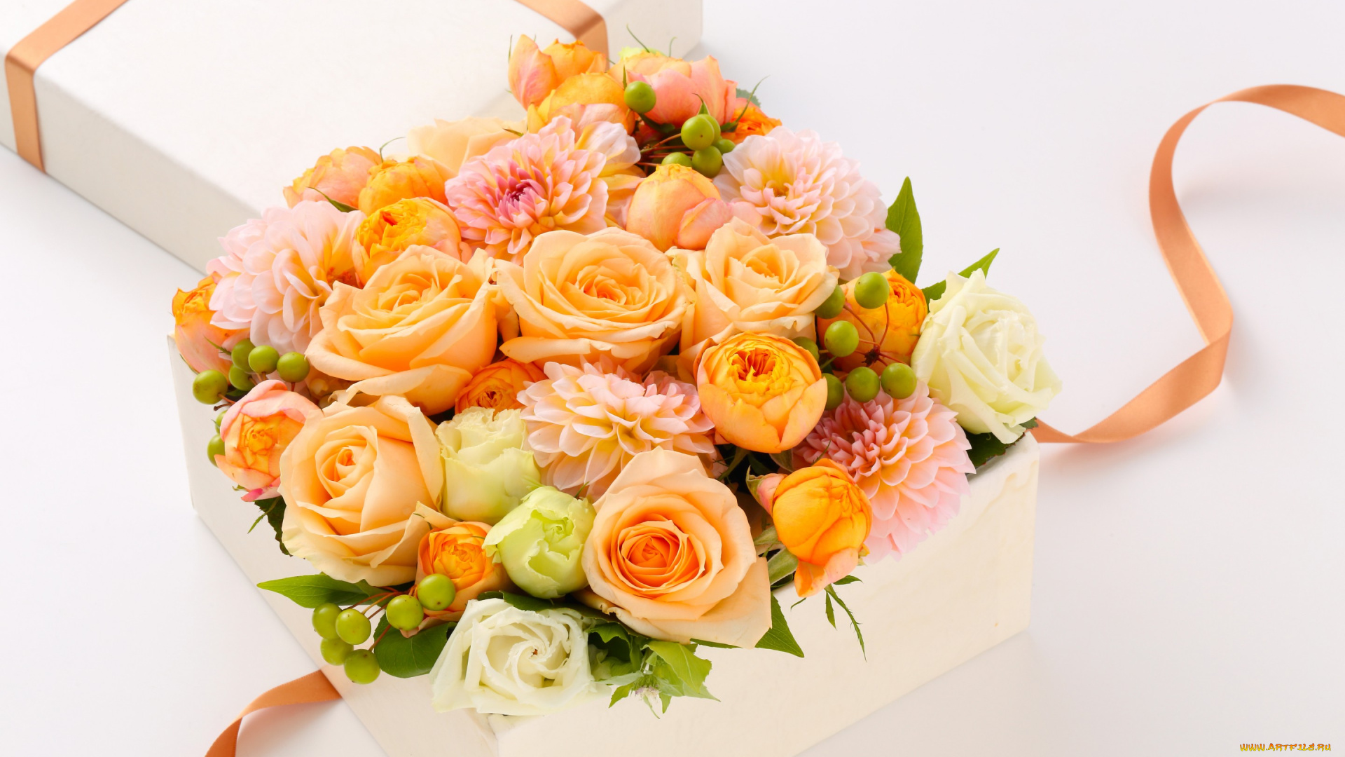 цветы, букеты, , композиции, roses, bouquets, георгины, gift, розы, dahlias, подарок