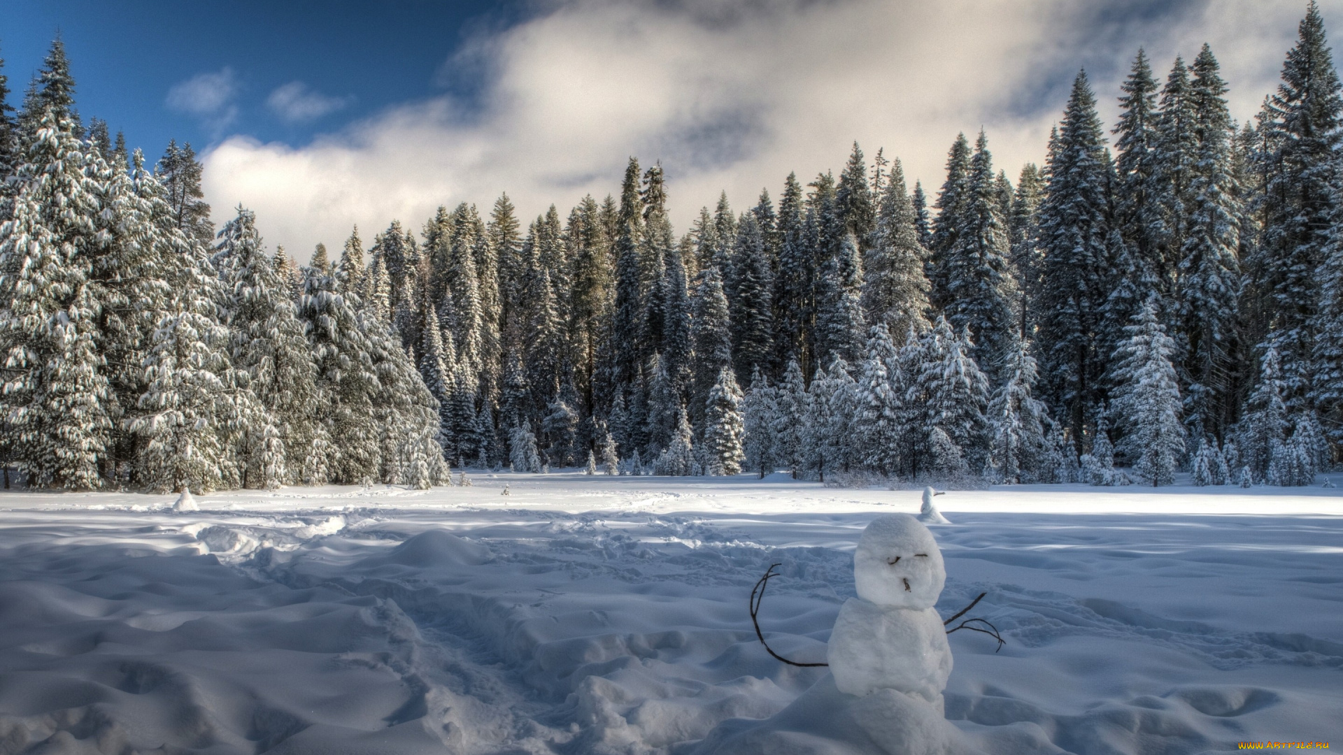 праздничные, снеговики, ели, деревья, снег, лес, yosemite, national, park, зима, калифорния, california, йосемити, национальный, парк, снеговик