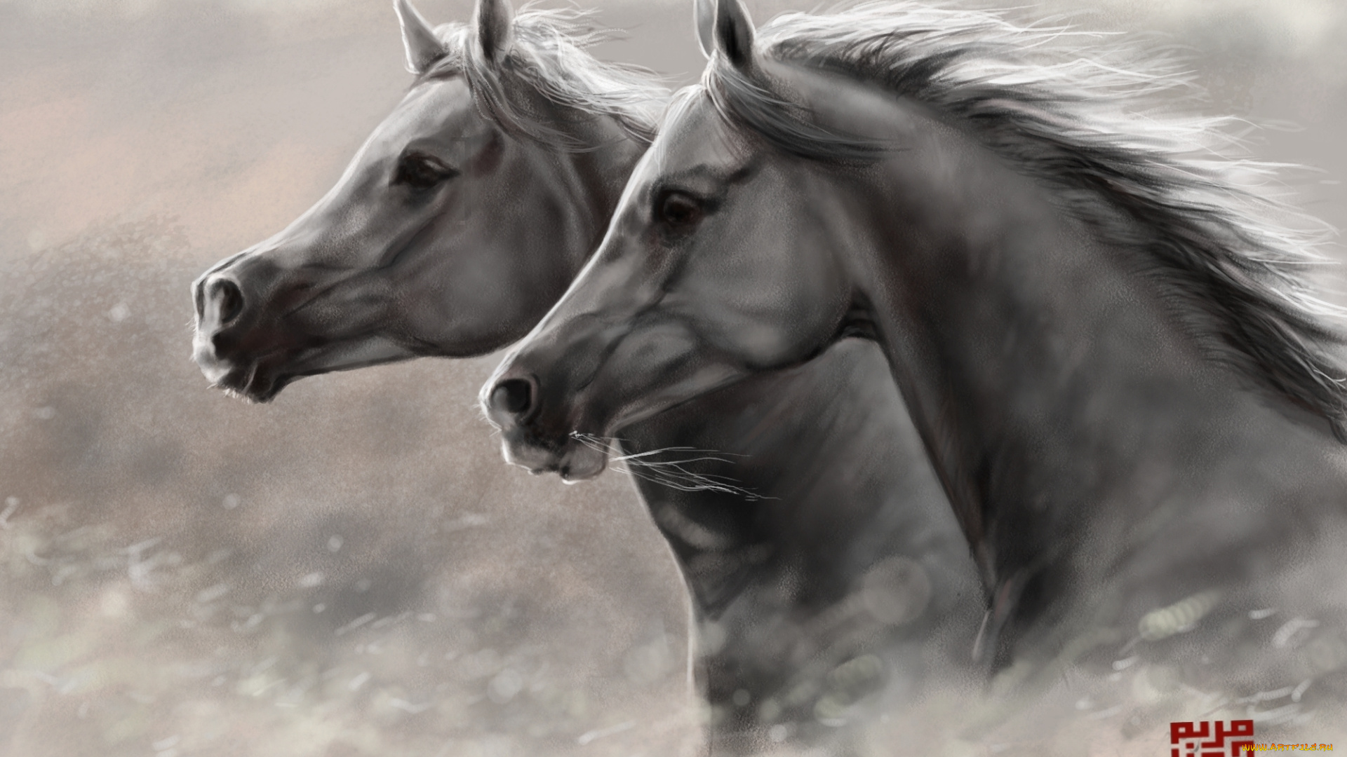 рисованное, животные, , лошади, пара, ветер, кони, лошади