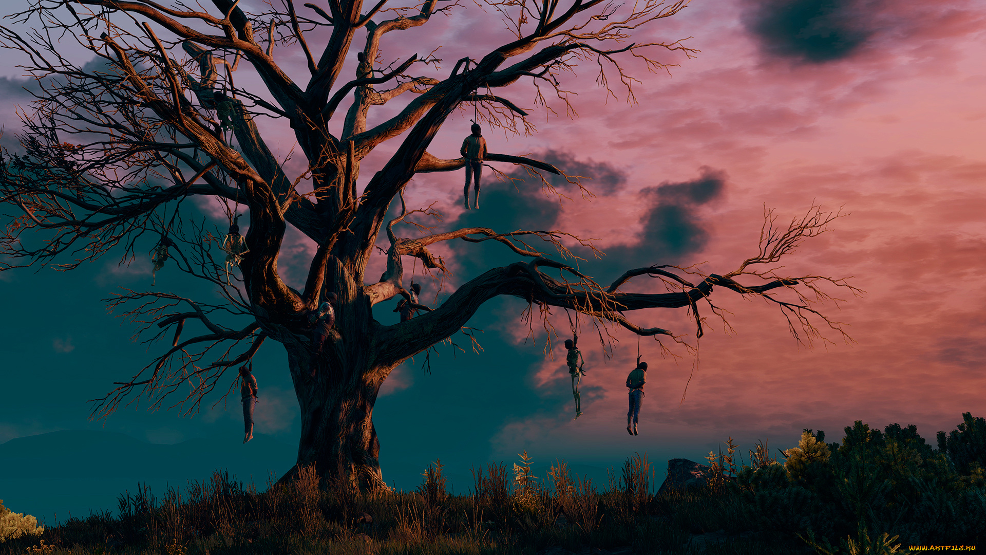 the, witcher, 3, , wild, hunt, видео, игры, дерево, висельников, ведьмак