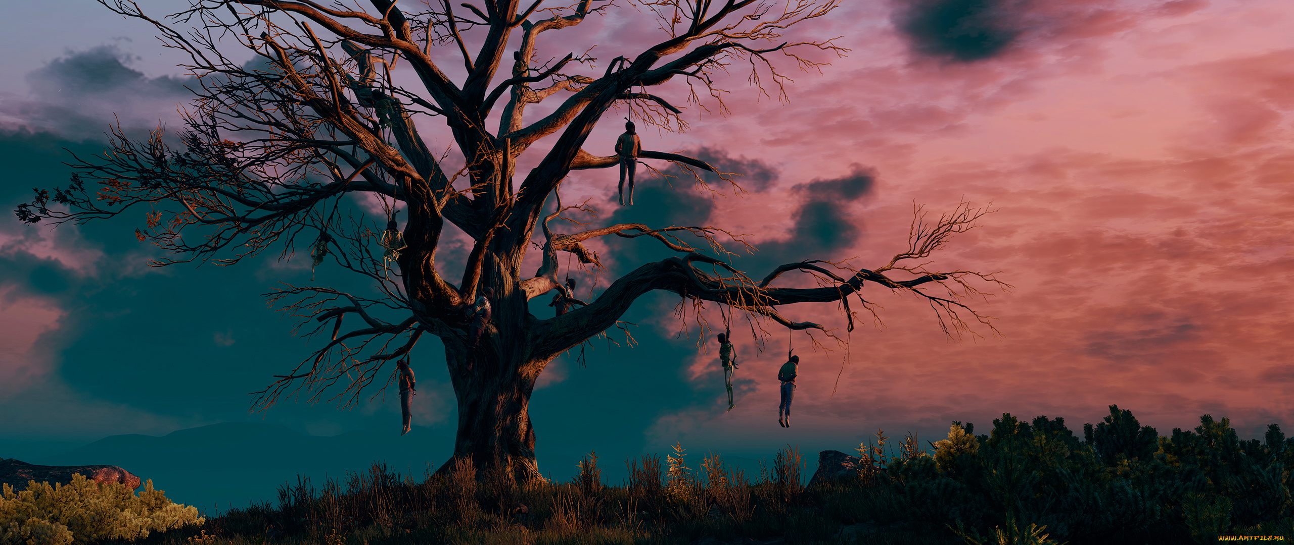 the, witcher, 3, , wild, hunt, видео, игры, дерево, висельников, ведьмак