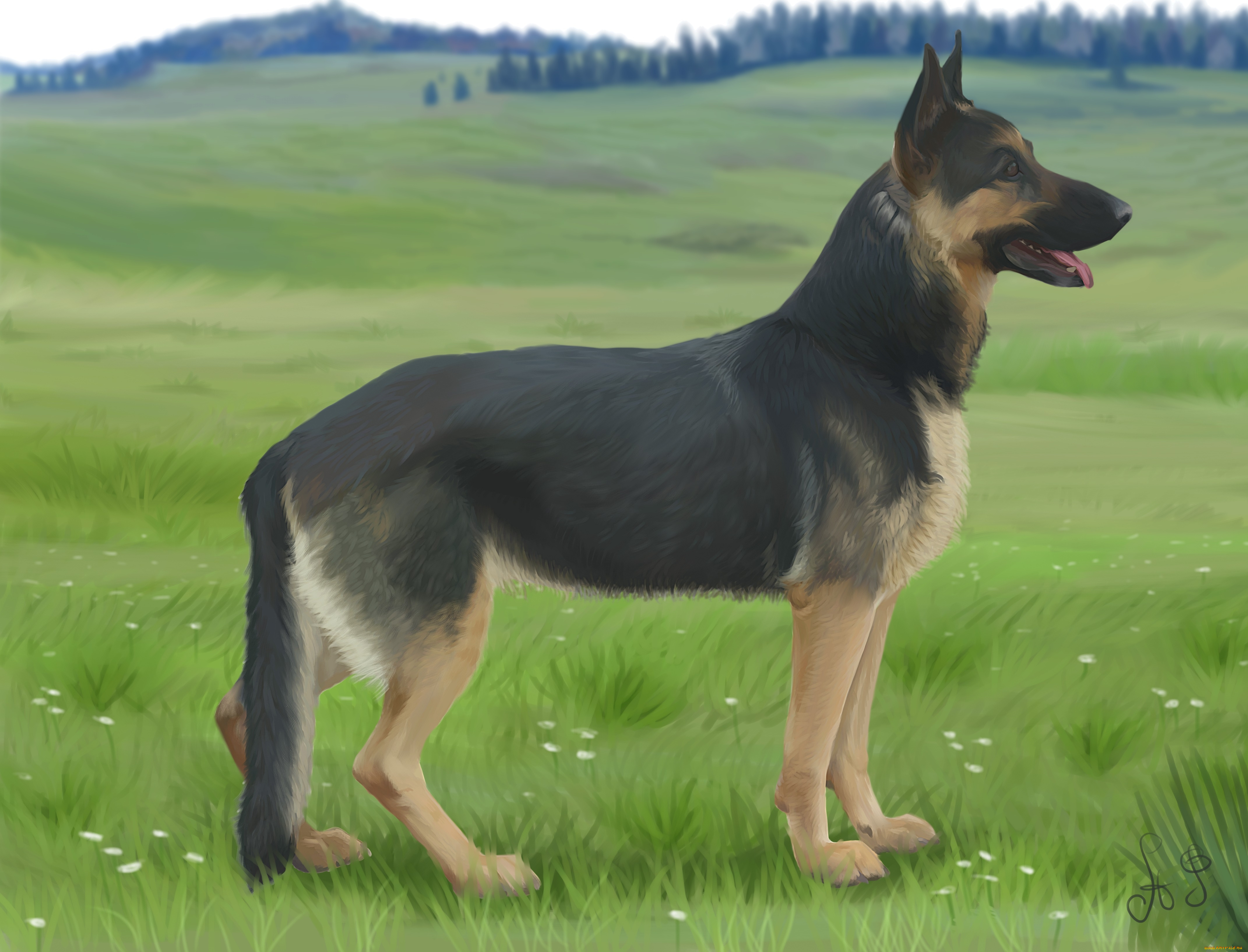 рисованное, животные, , собаки, фон, взгляд, собаки, луг