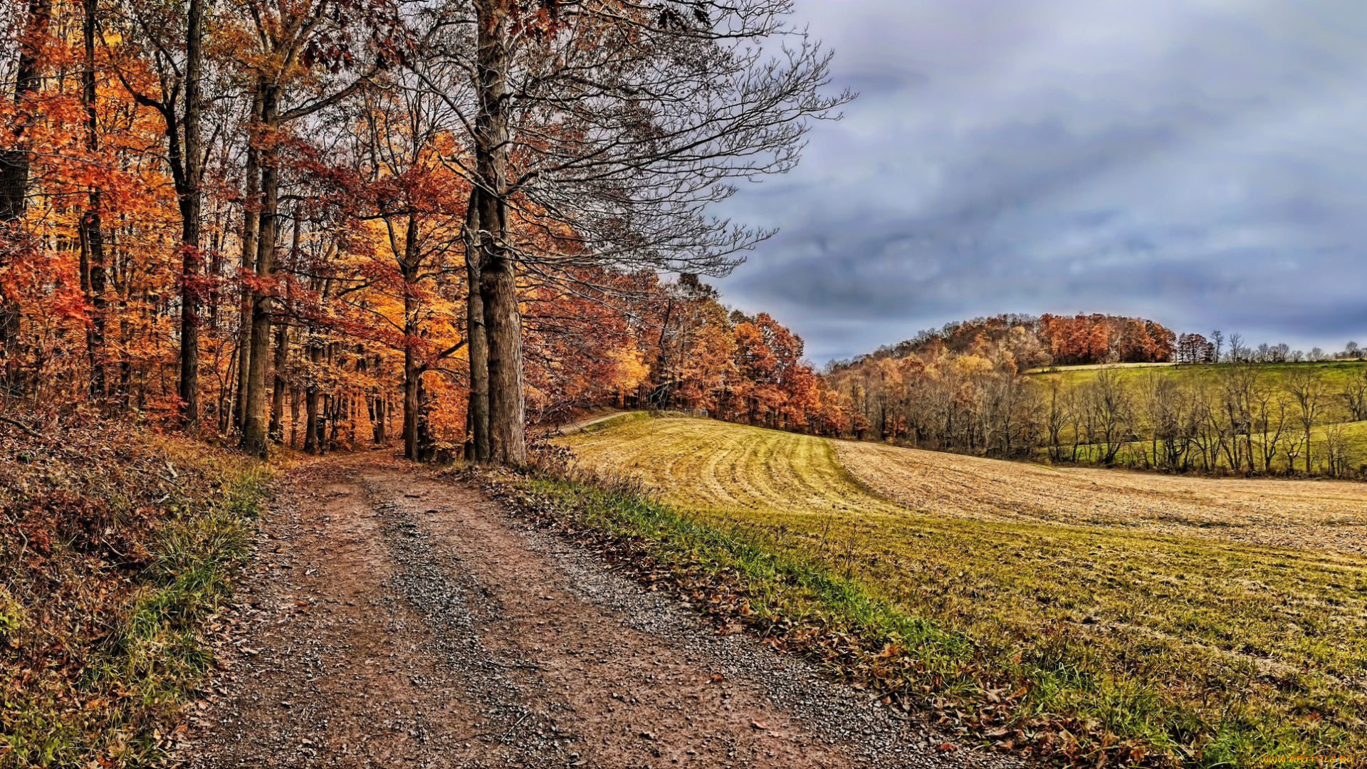 природа, дороги, тракт