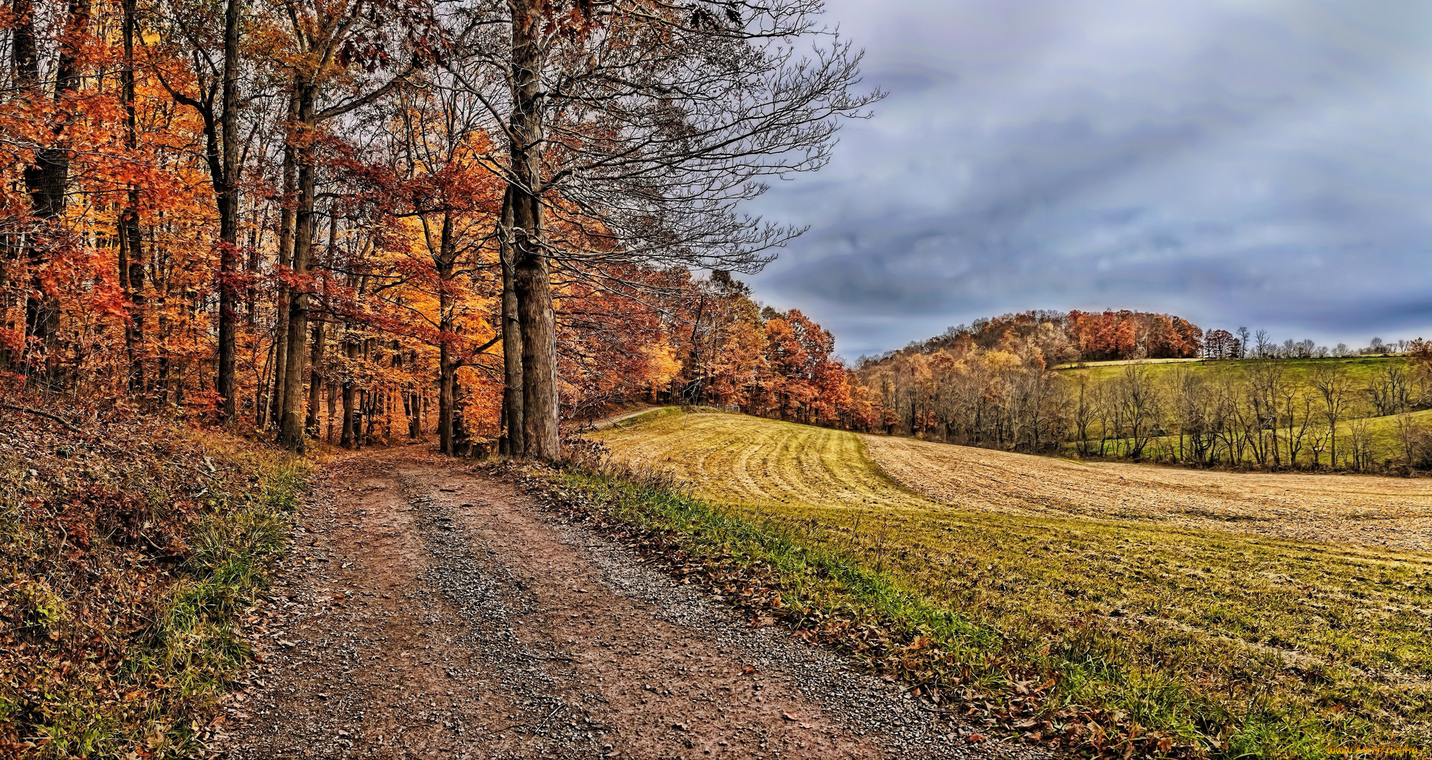 природа, дороги, тракт