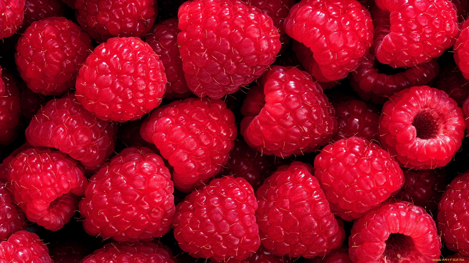 еда, малина, макро, ягоды