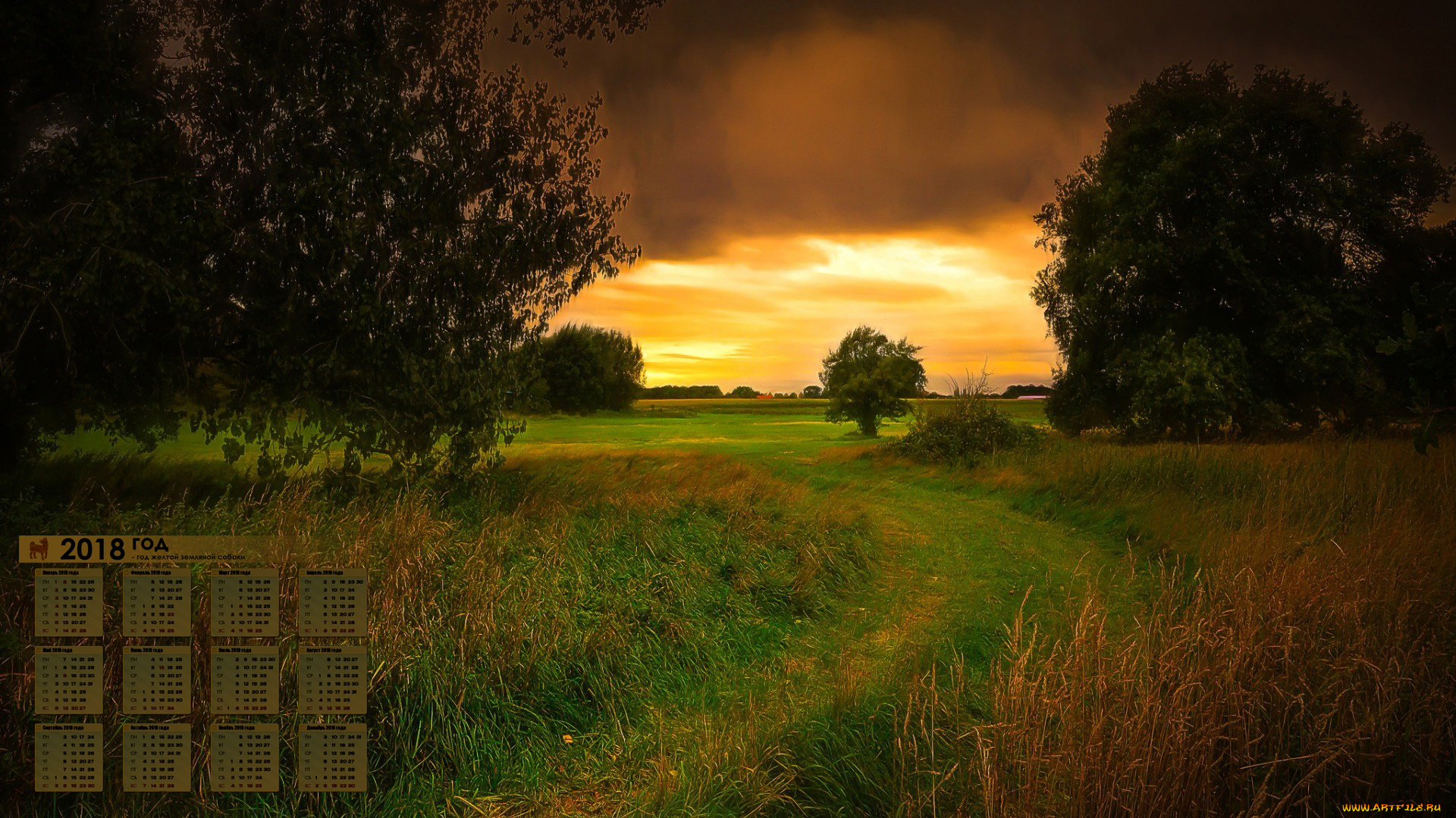 календари, природа, 2018, облака, растения, деревья