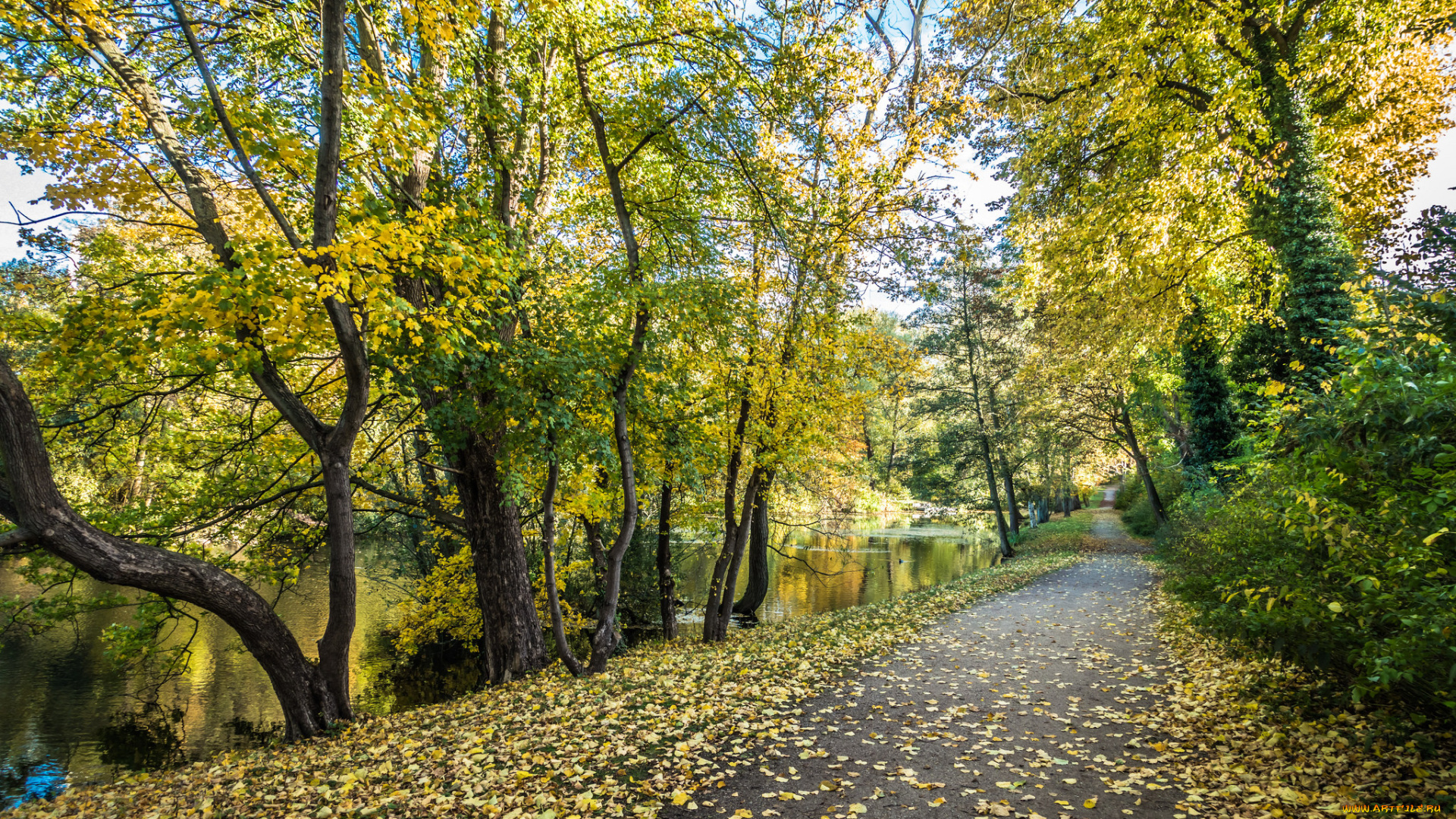 природа, дороги, простор
