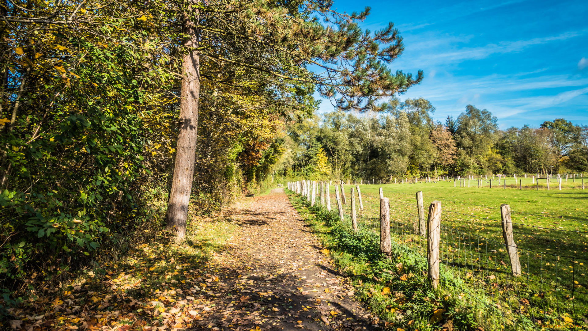 природа, дороги, простор