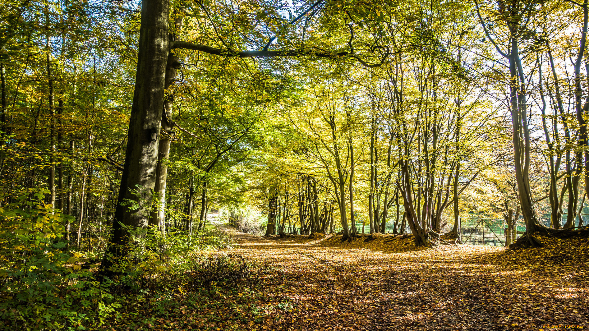 природа, дороги, простор