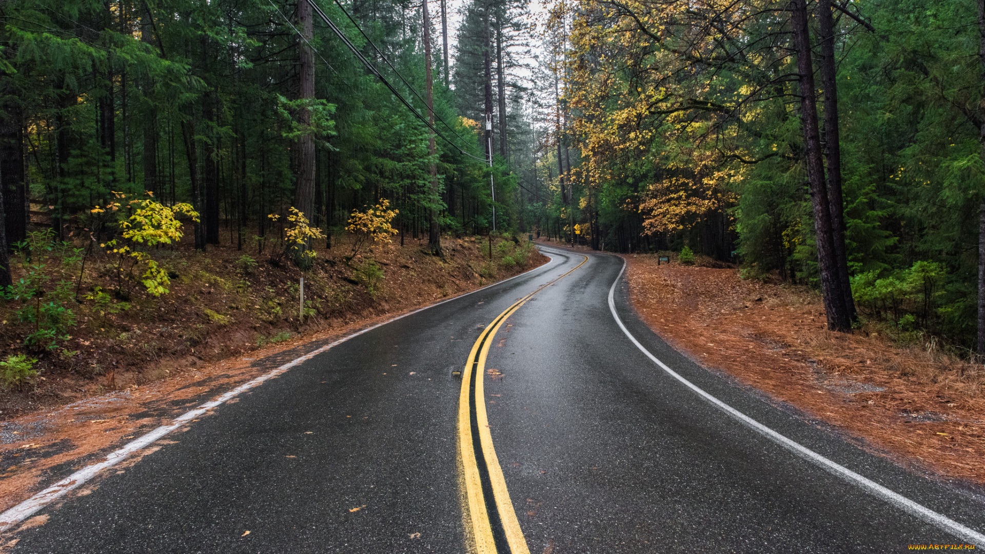 природа, дороги, простор