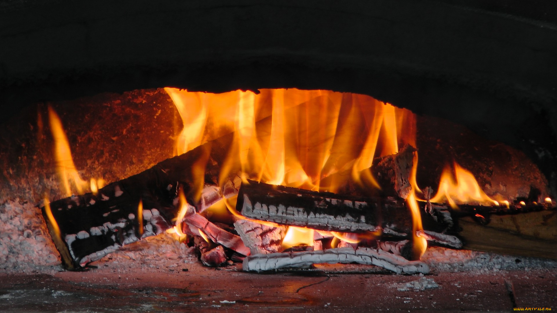 природа, огонь, поленья, пламя