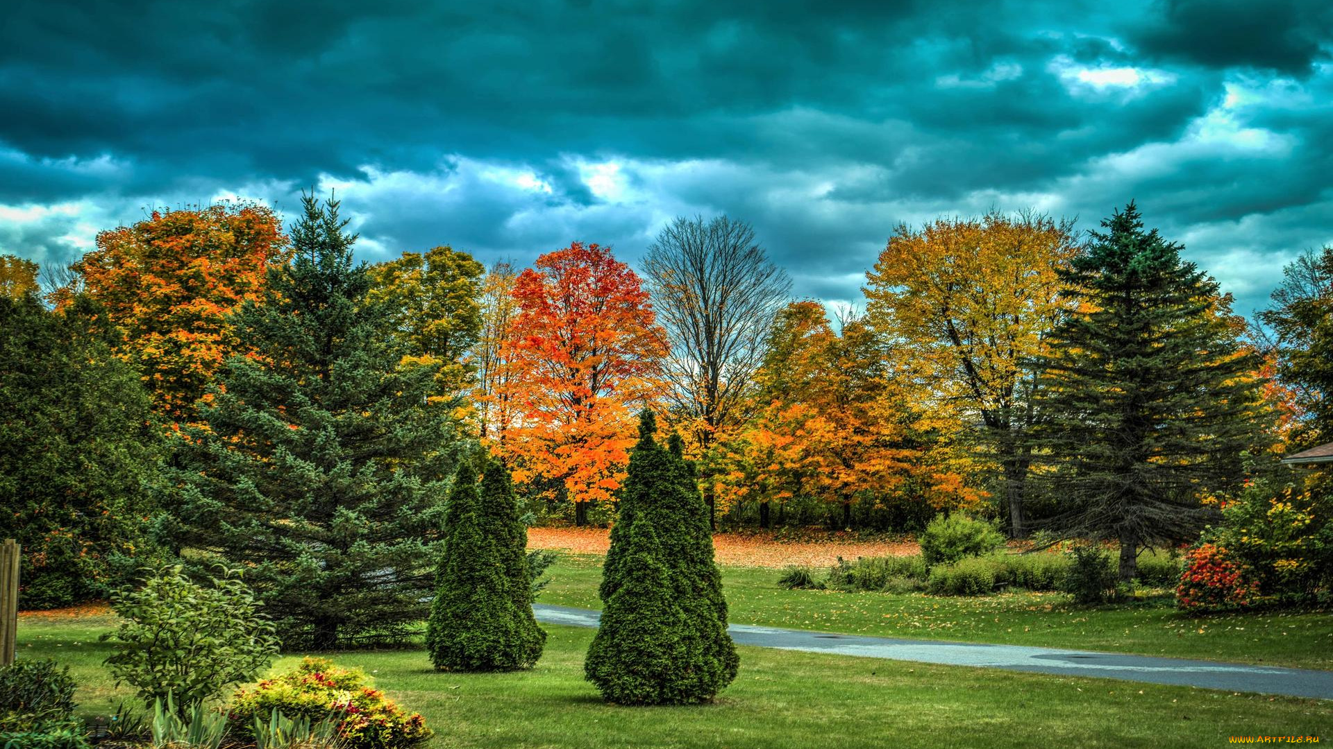 природа, парк, осень, деревья, аллея