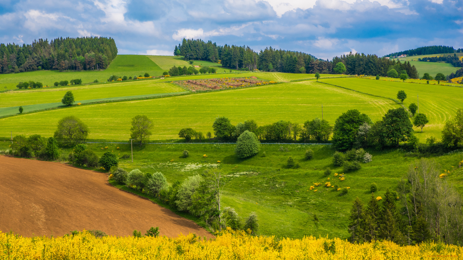 природа, пейзажи, простор