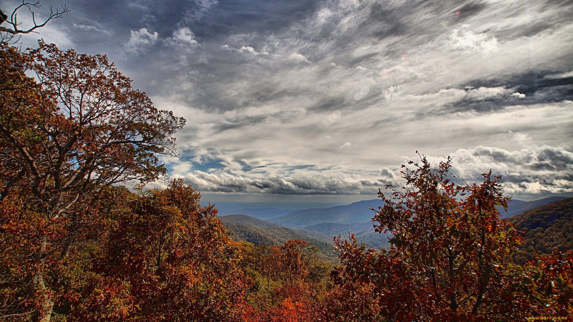 природа, пейзажи, простор