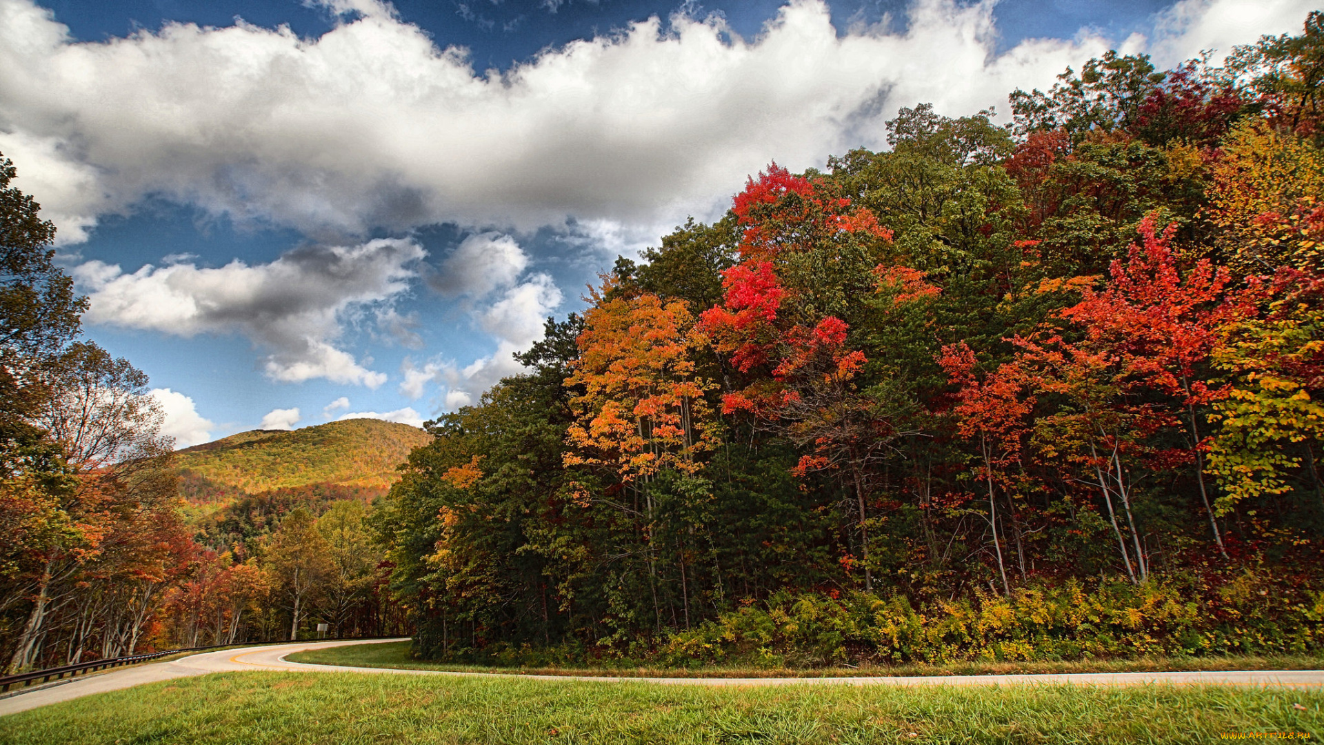 природа, пейзажи, простор