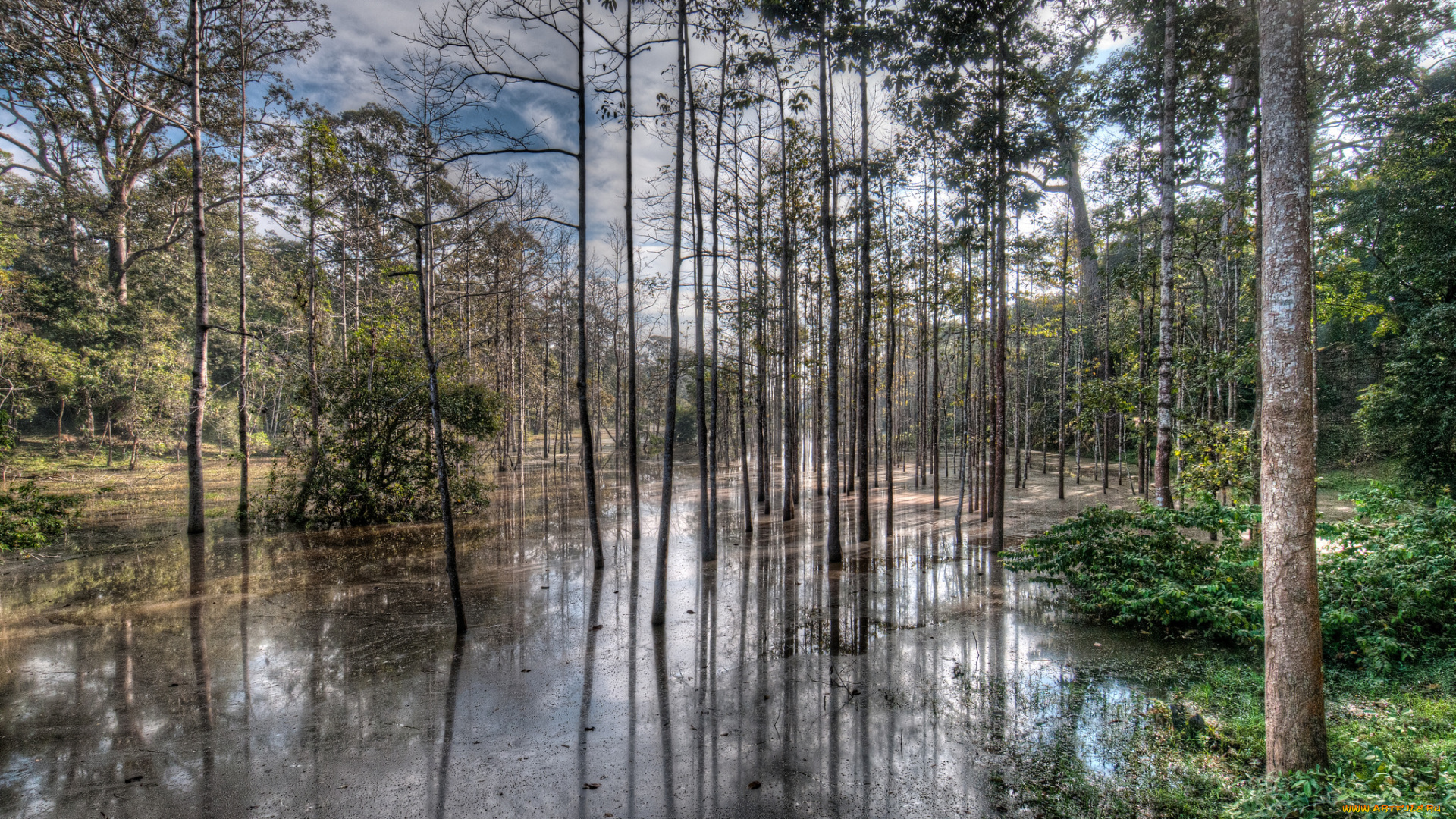 природа, реки, озера, простор