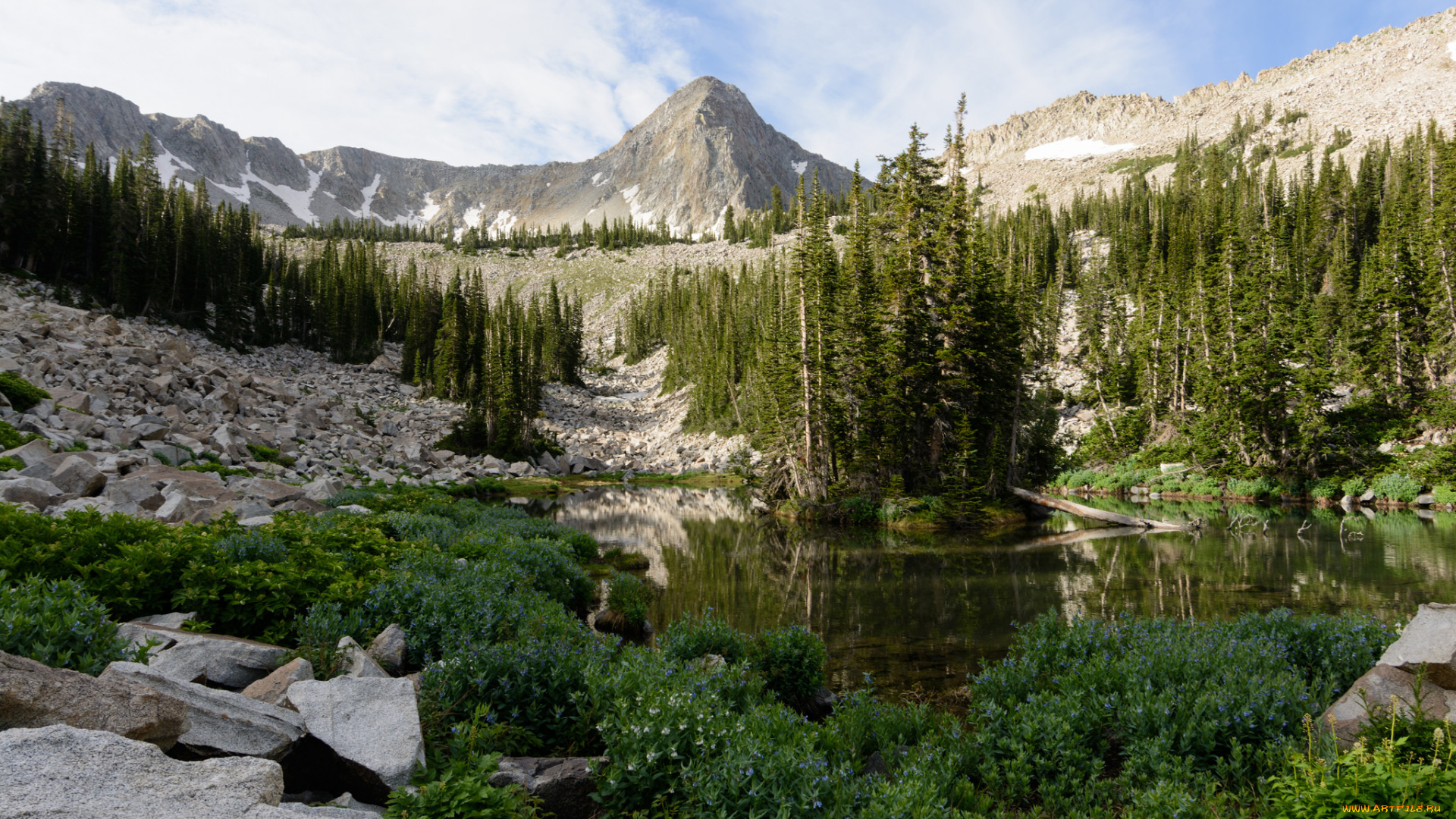 природа, реки, озера, простор