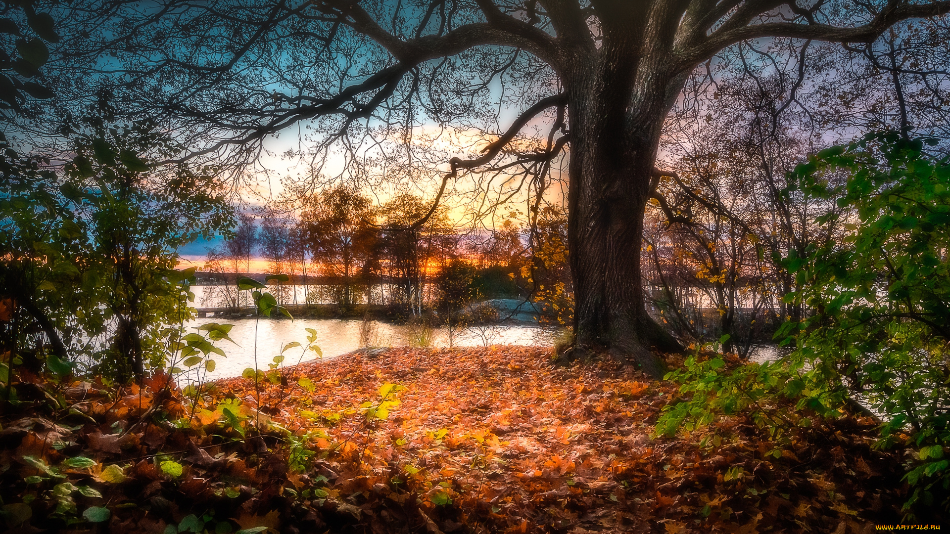 природа, реки, озера, простор