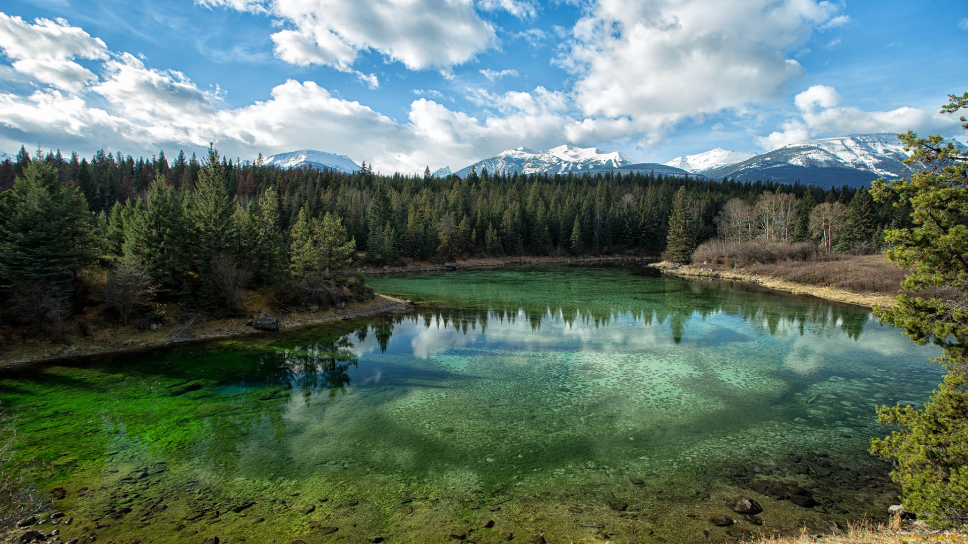 природа, реки, озера, простор