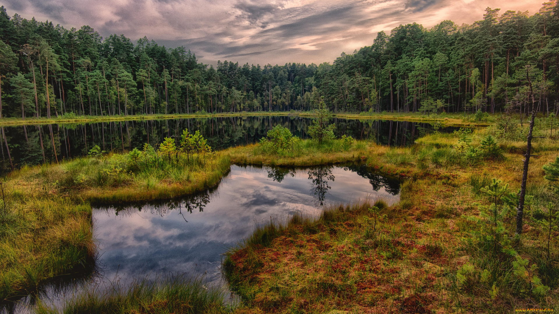 природа, реки, озера, простор