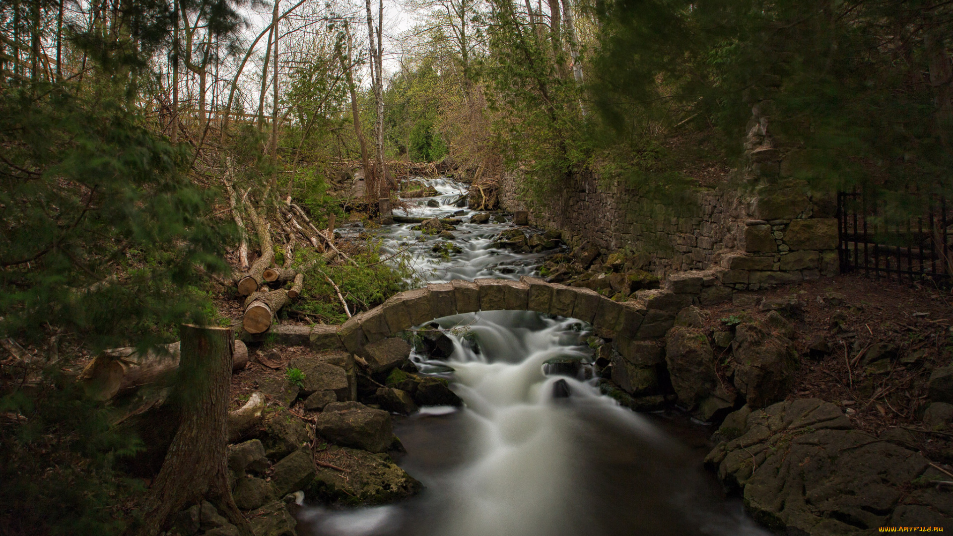 природа, реки, озера, простор