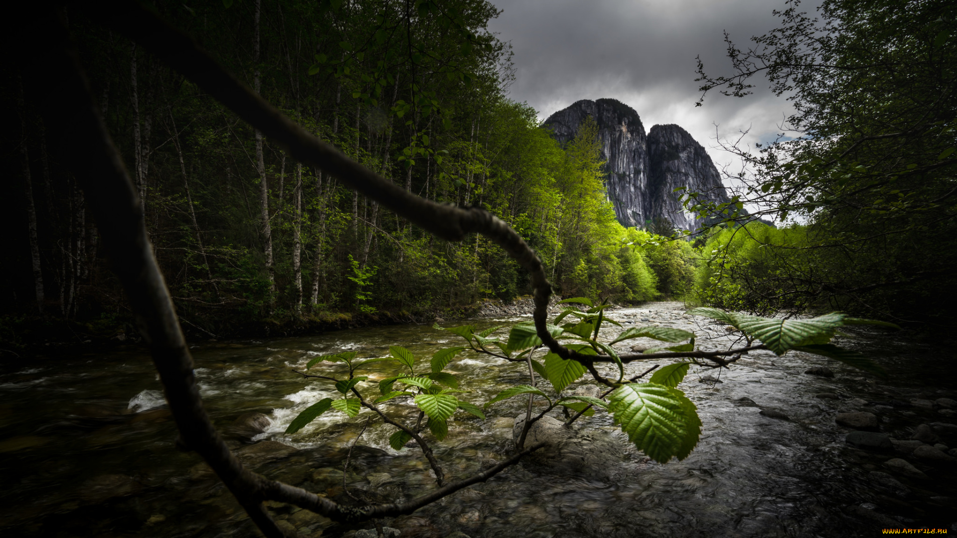 природа, реки, озера, простор