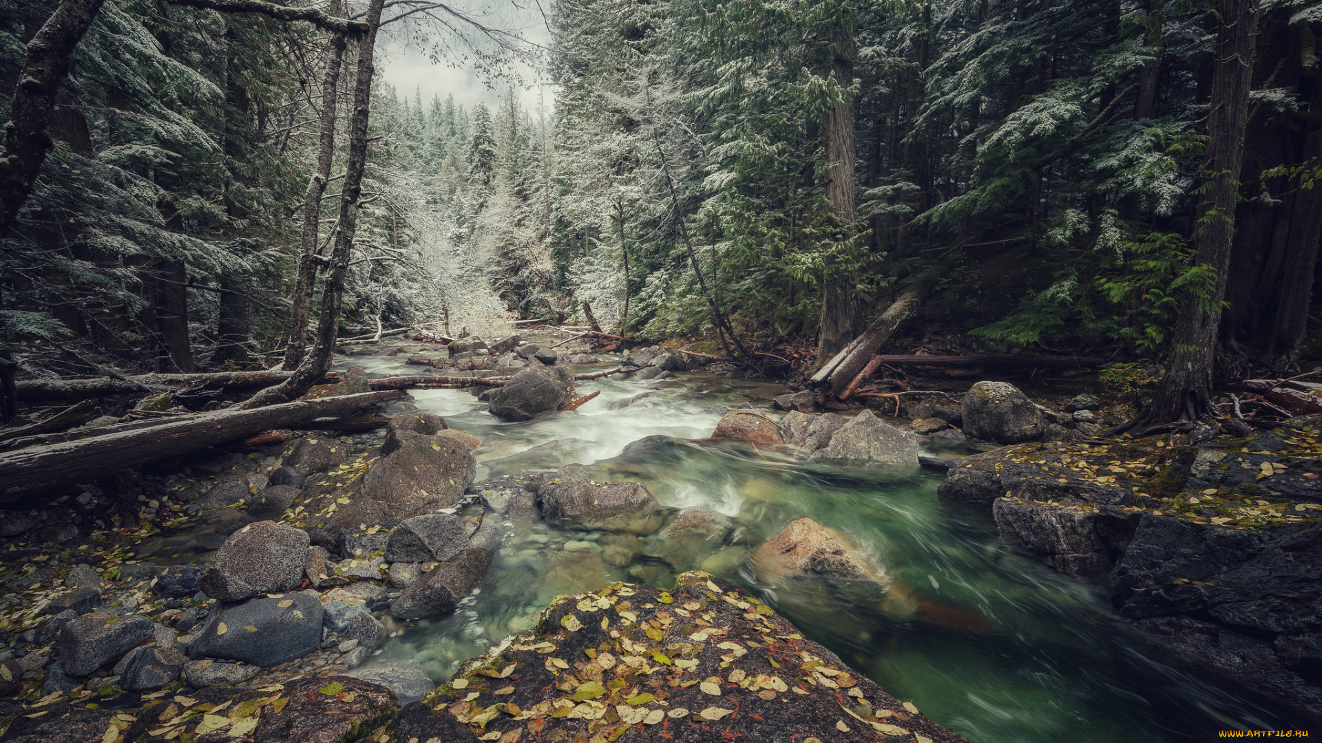 природа, реки, озера, простор