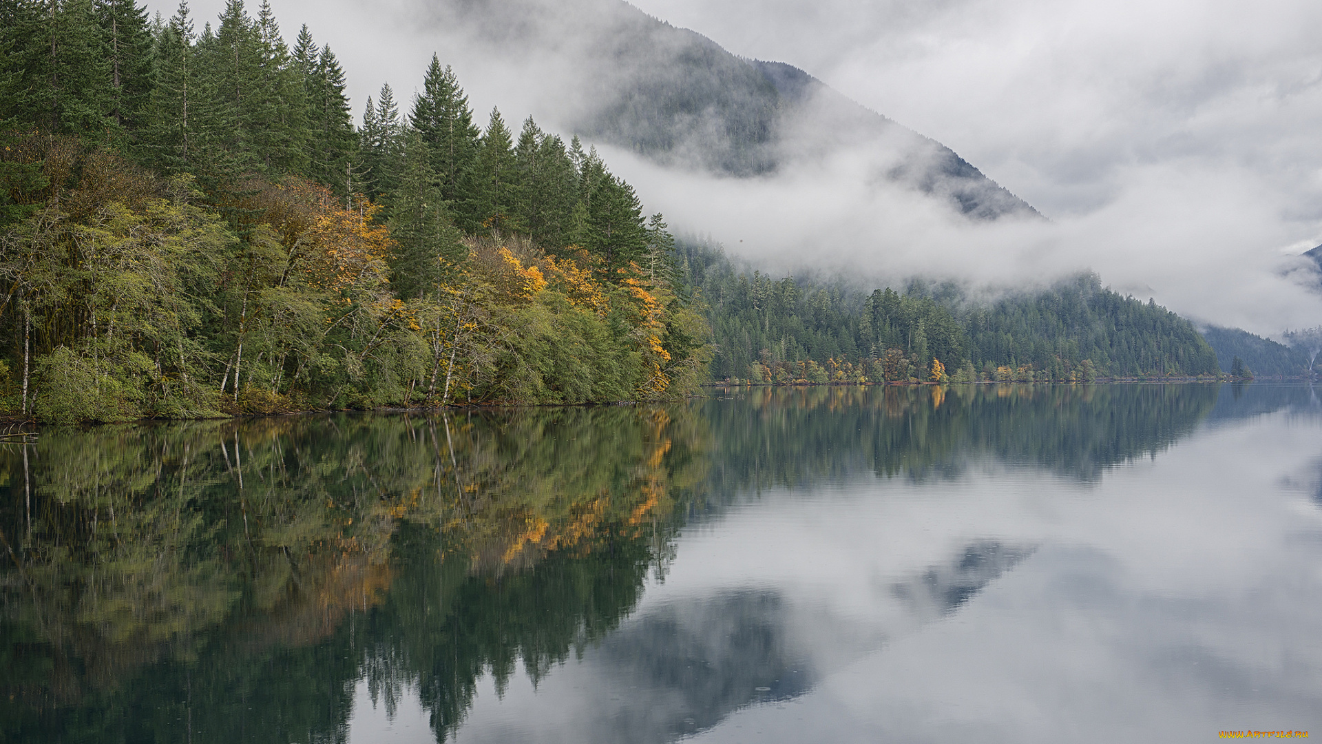 природа, реки, озера, простор