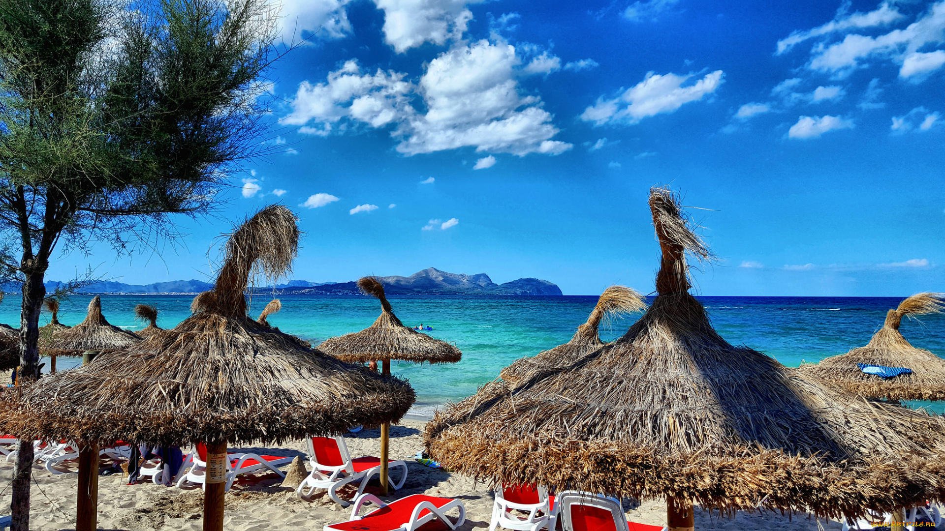 природа, тропики, простор