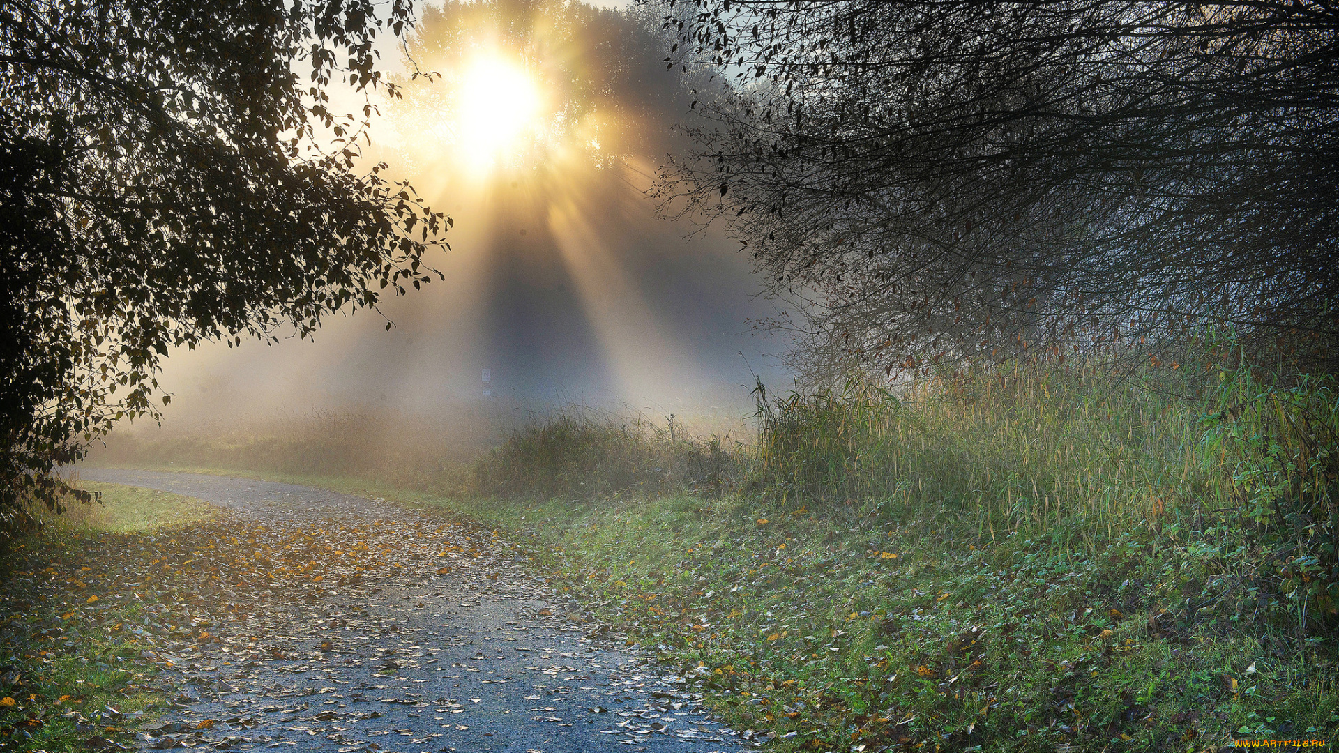 природа, восходы, закаты, простор