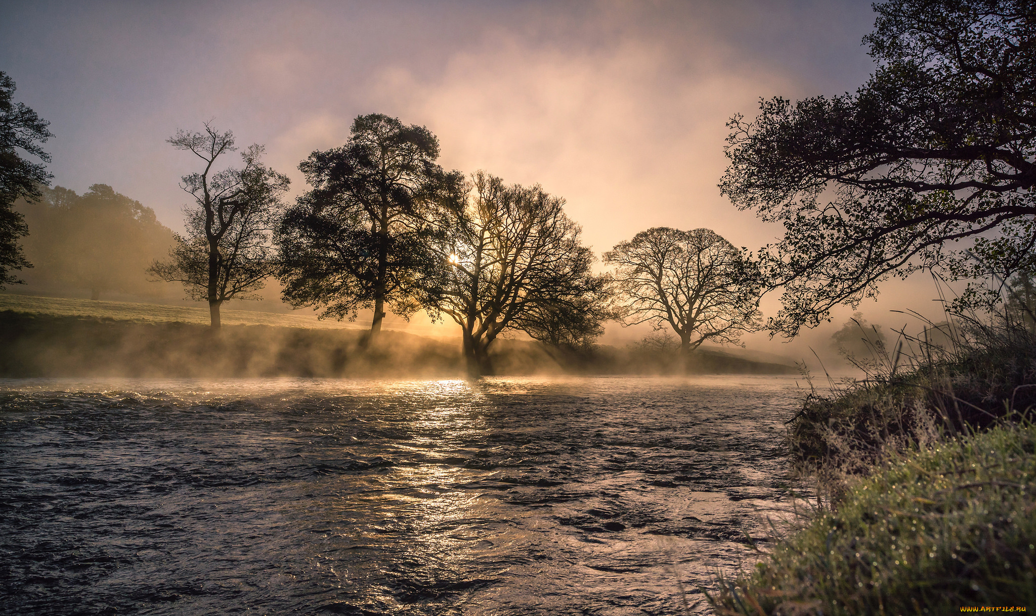 природа, реки, озера, простор