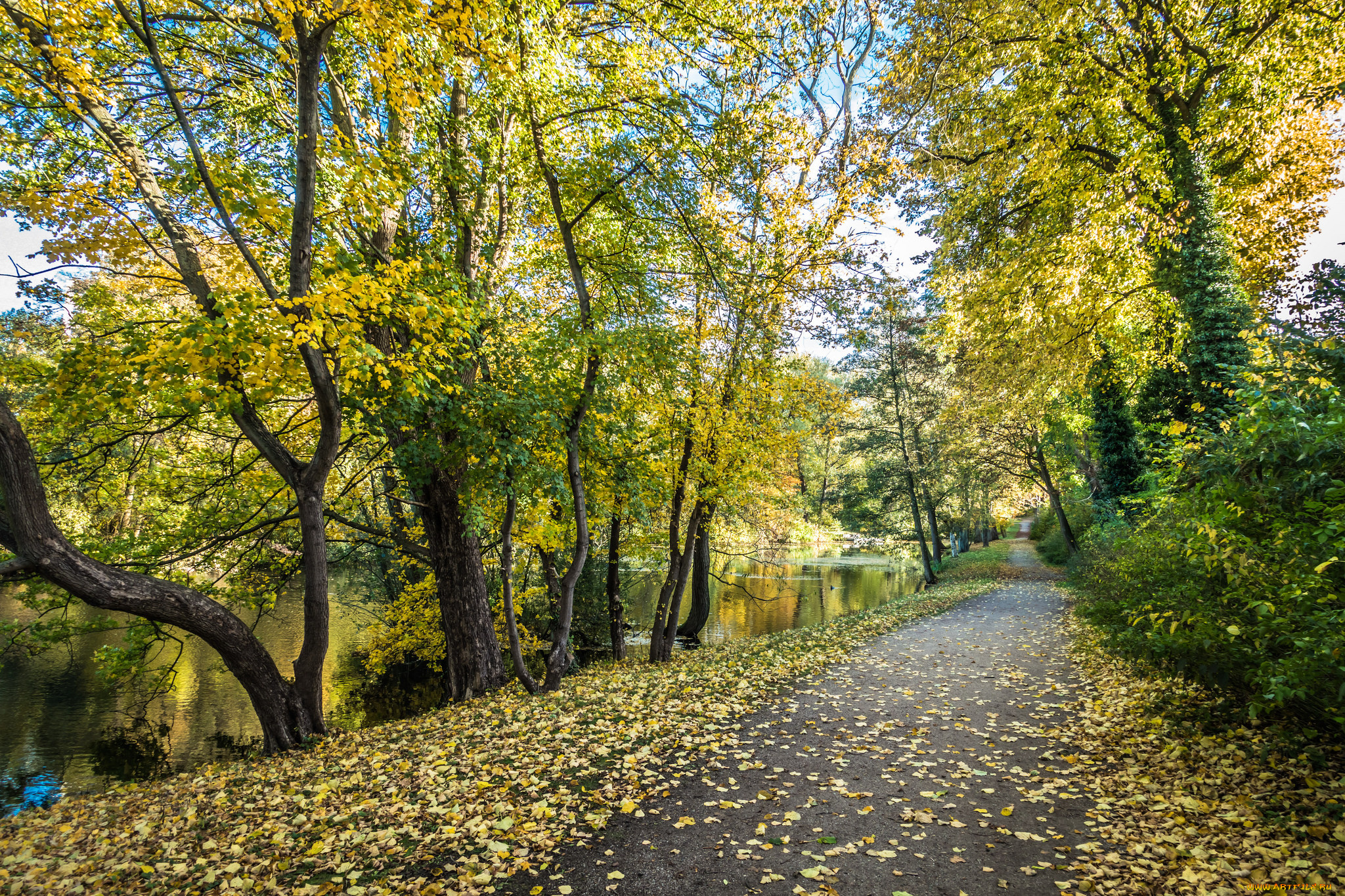 природа, дороги, простор