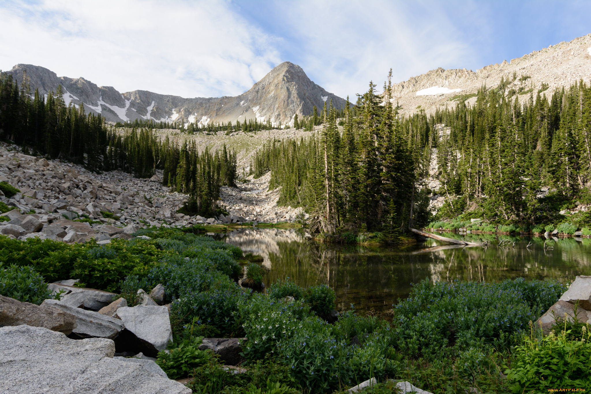 природа, реки, озера, простор