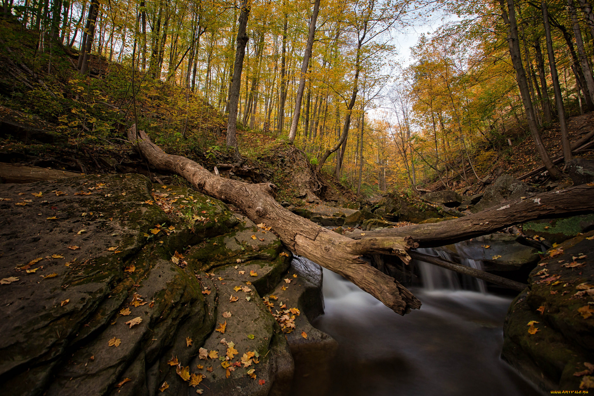 природа, реки, озера, простор