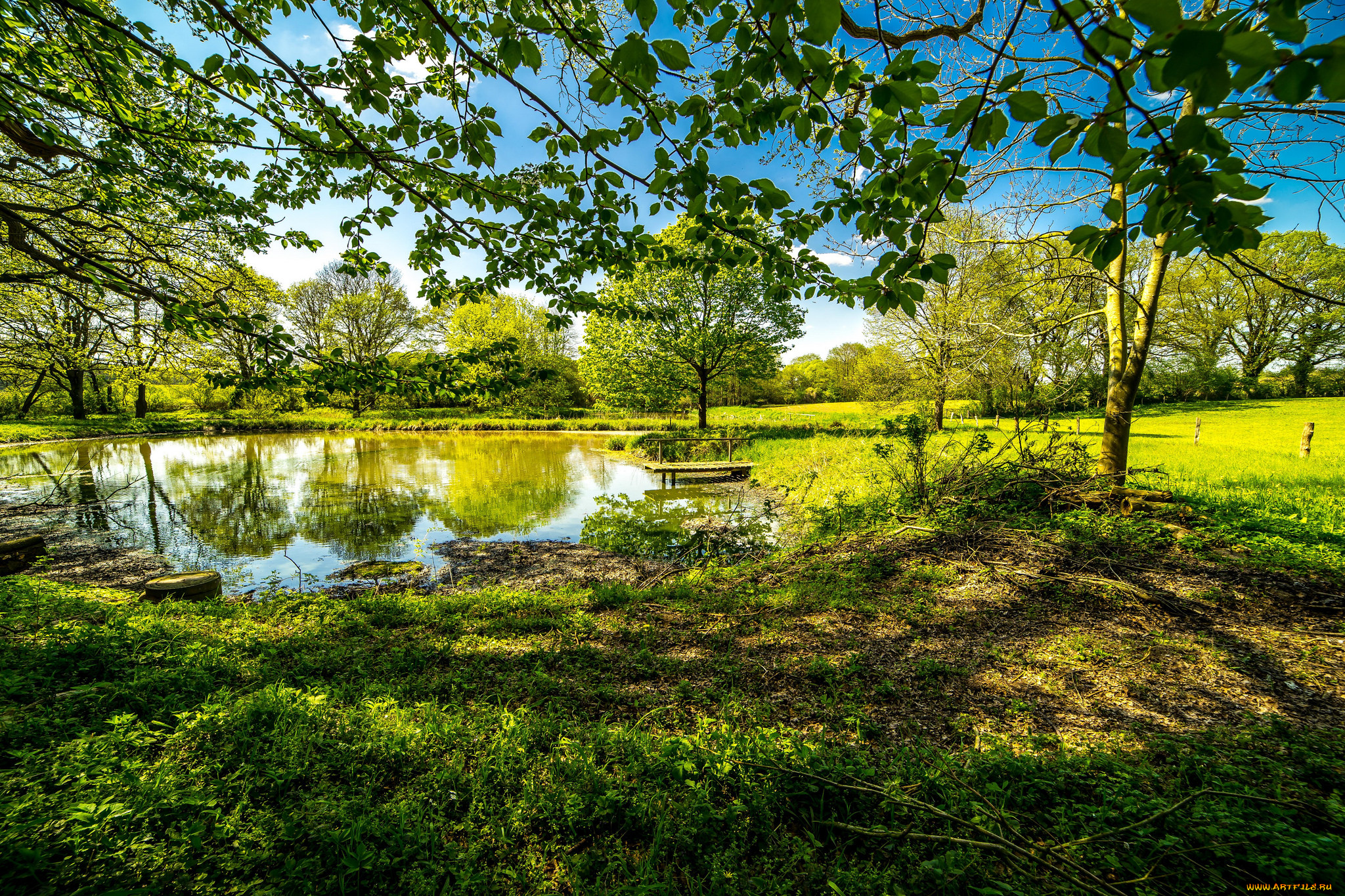 природа, реки, озера, простор