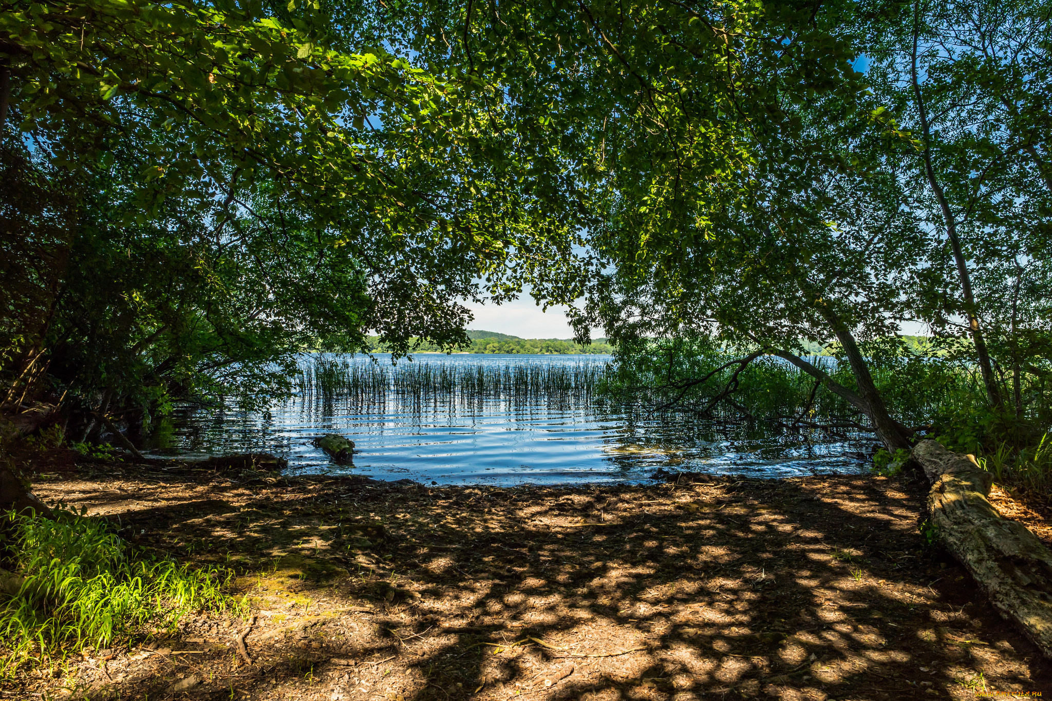 природа, реки, озера, простор