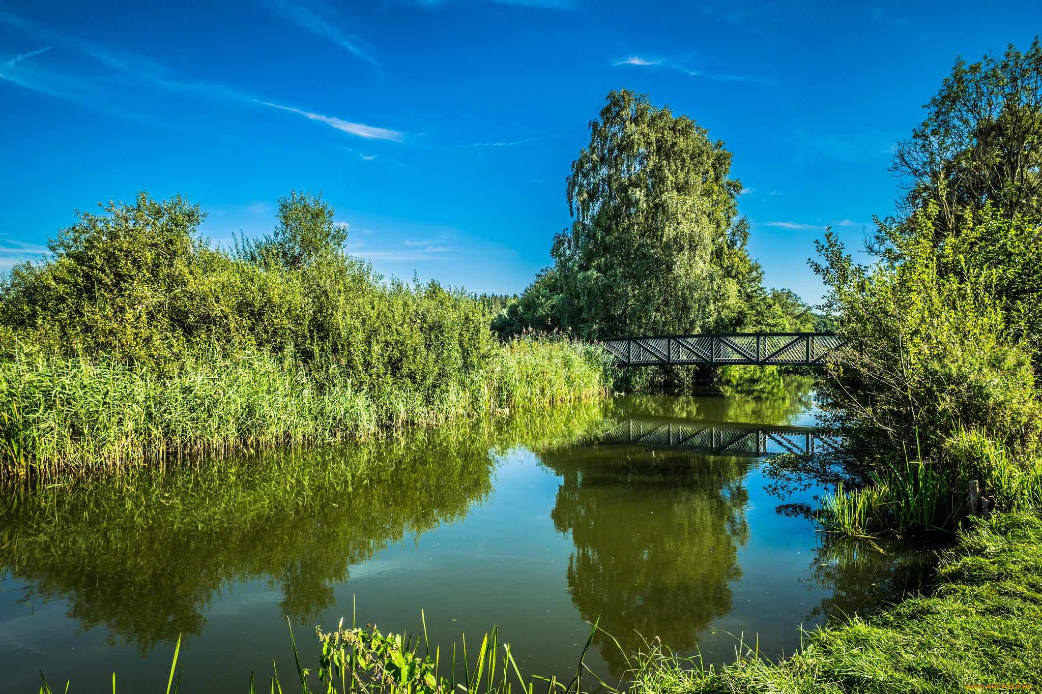 природа, реки, озера, простор