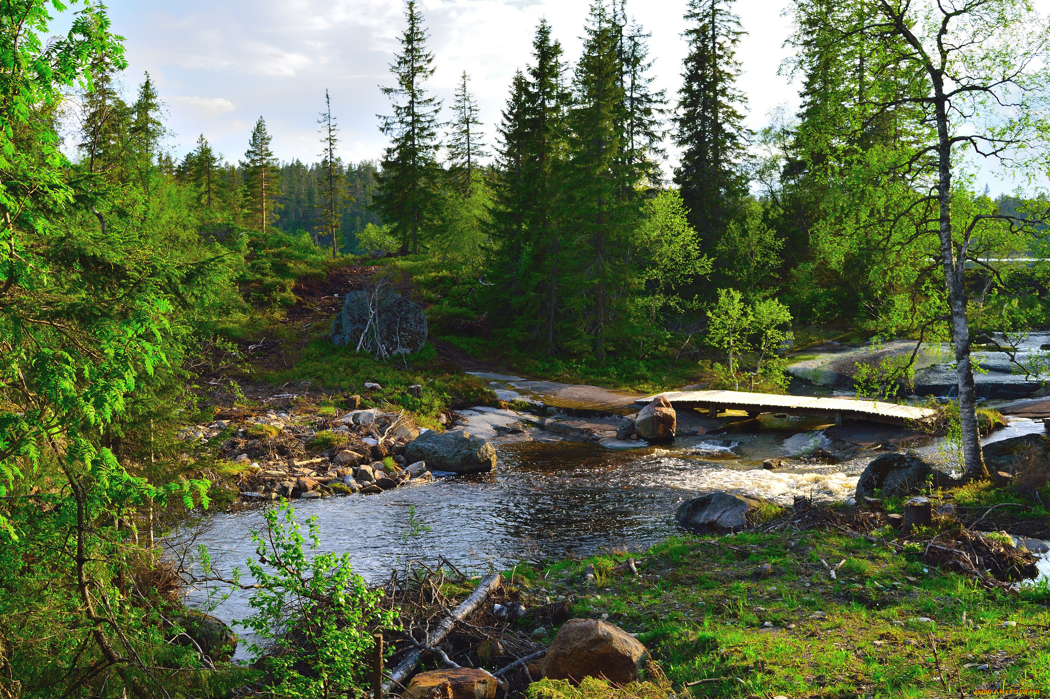 природа, реки, озера, простор