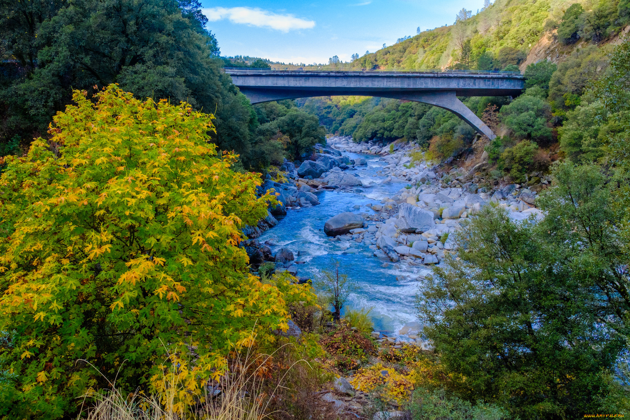 природа, реки, озера, простор