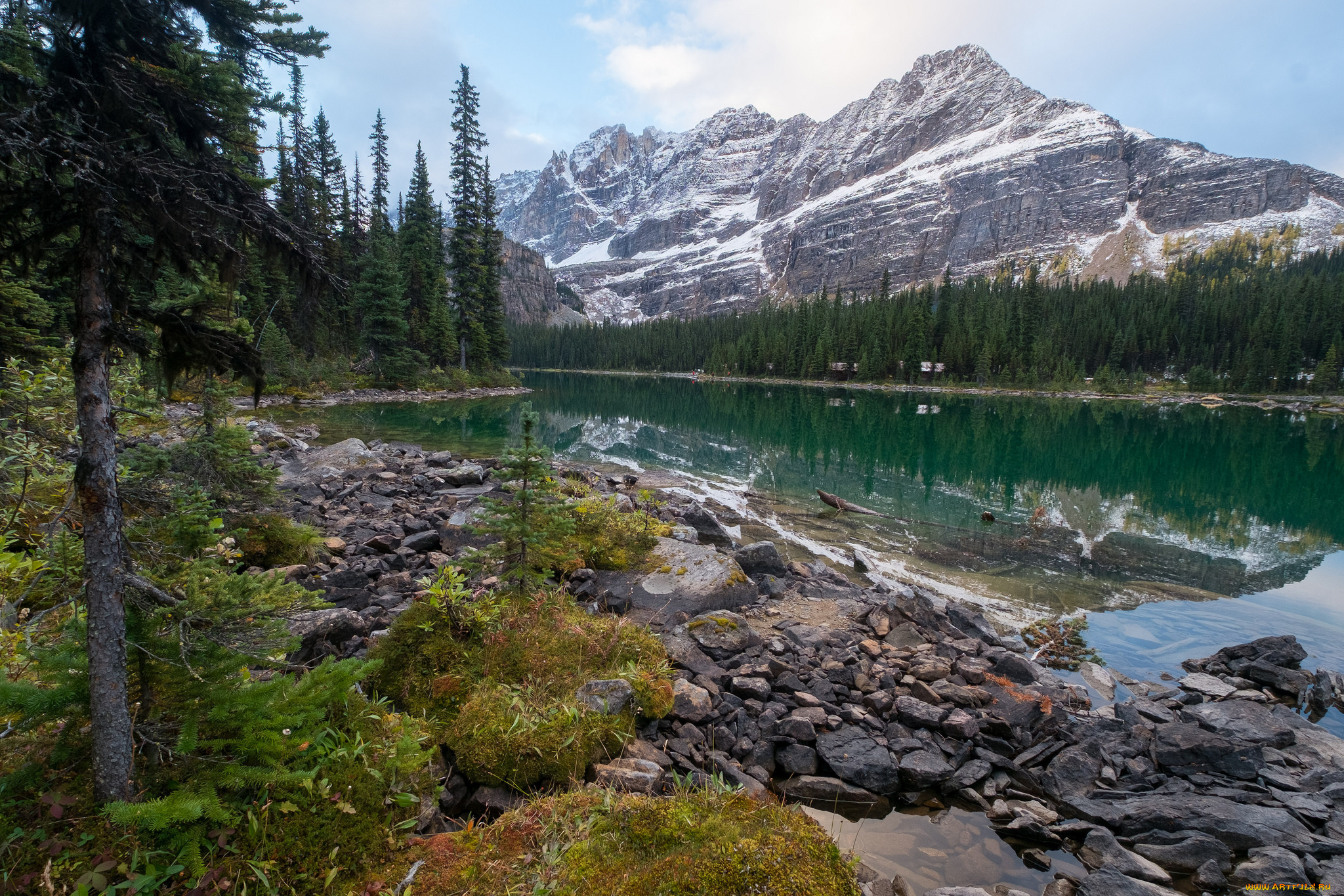 природа, реки, озера, простор