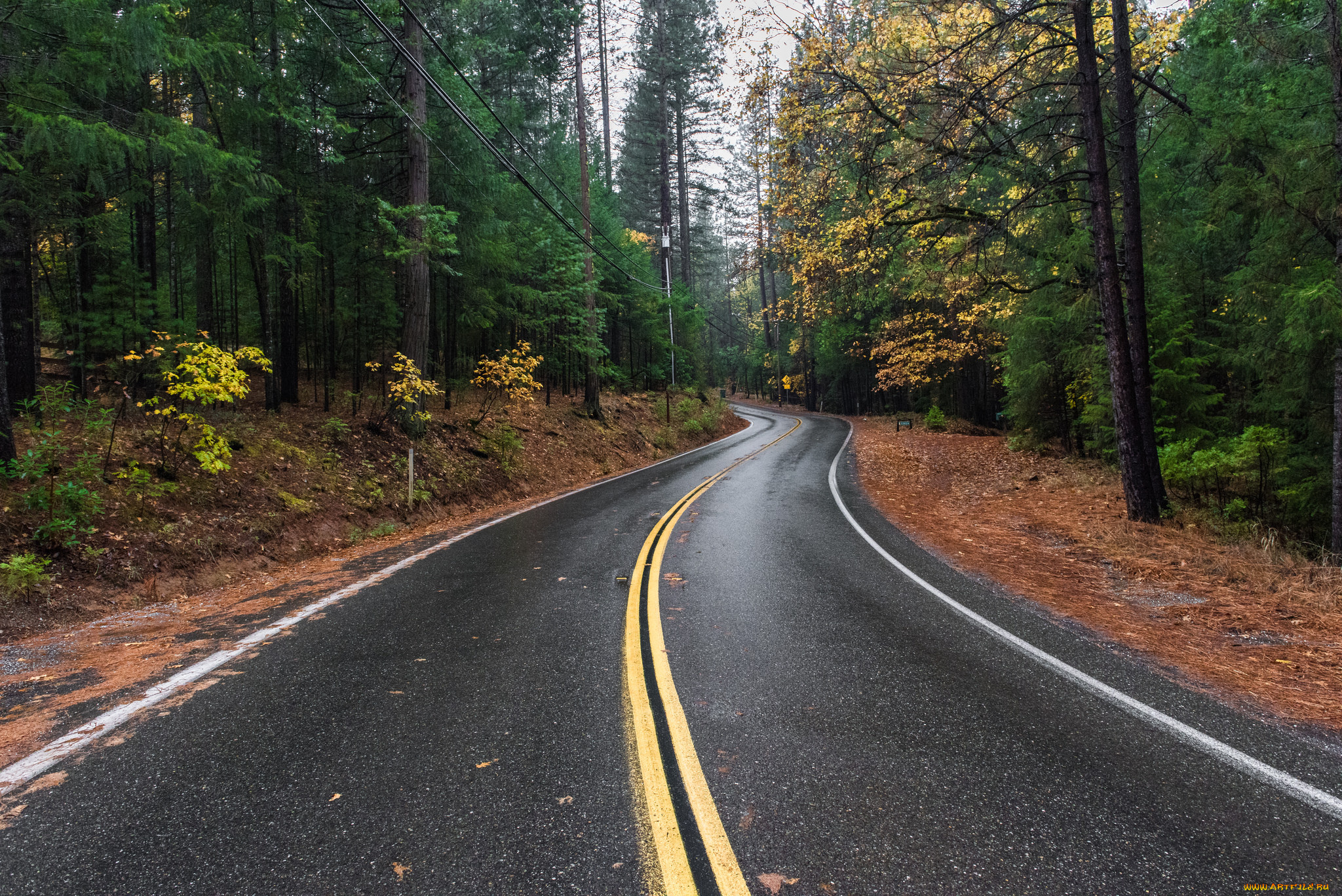 природа, дороги, простор