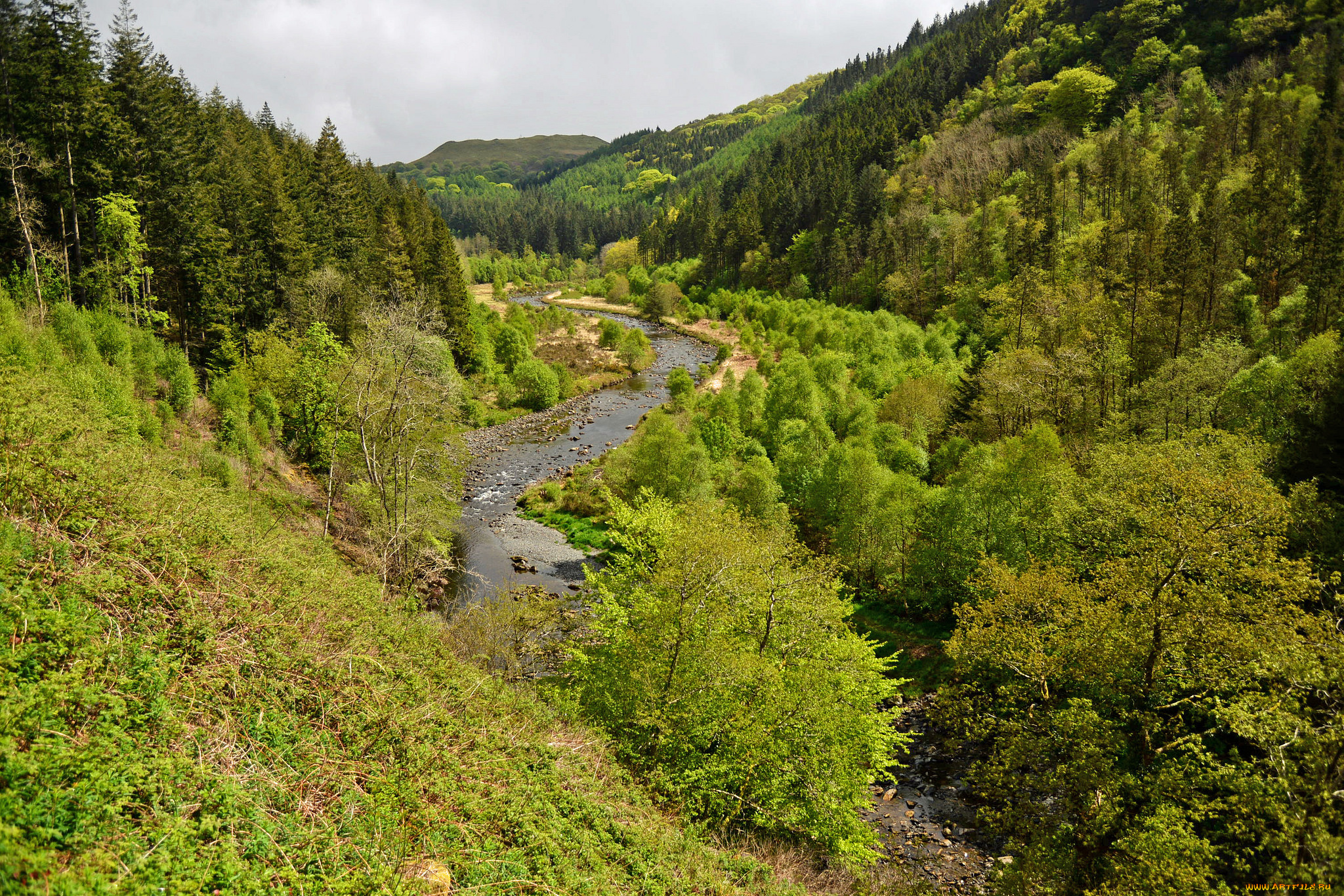 природа, пейзажи, простор