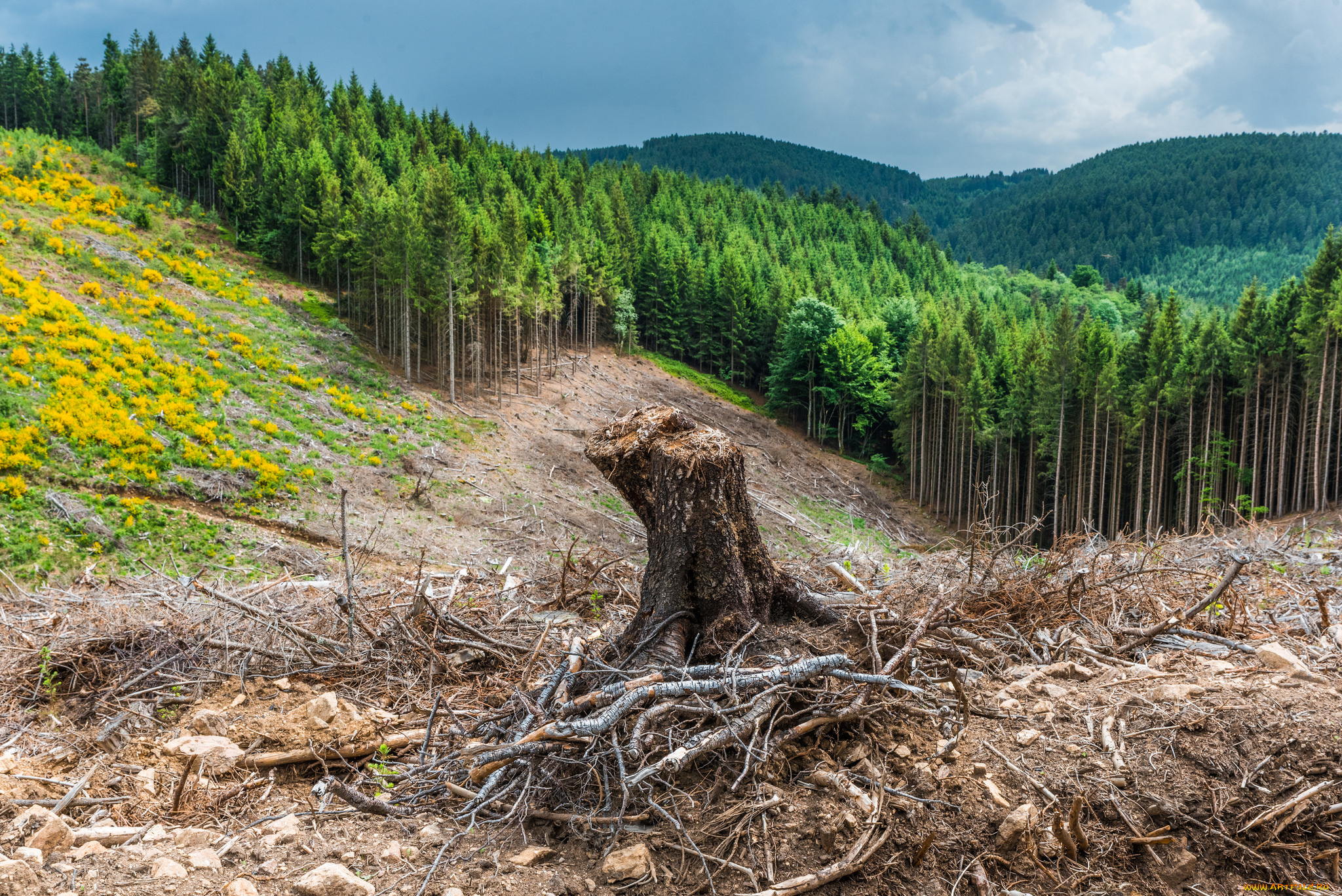 природа, пейзажи, простор