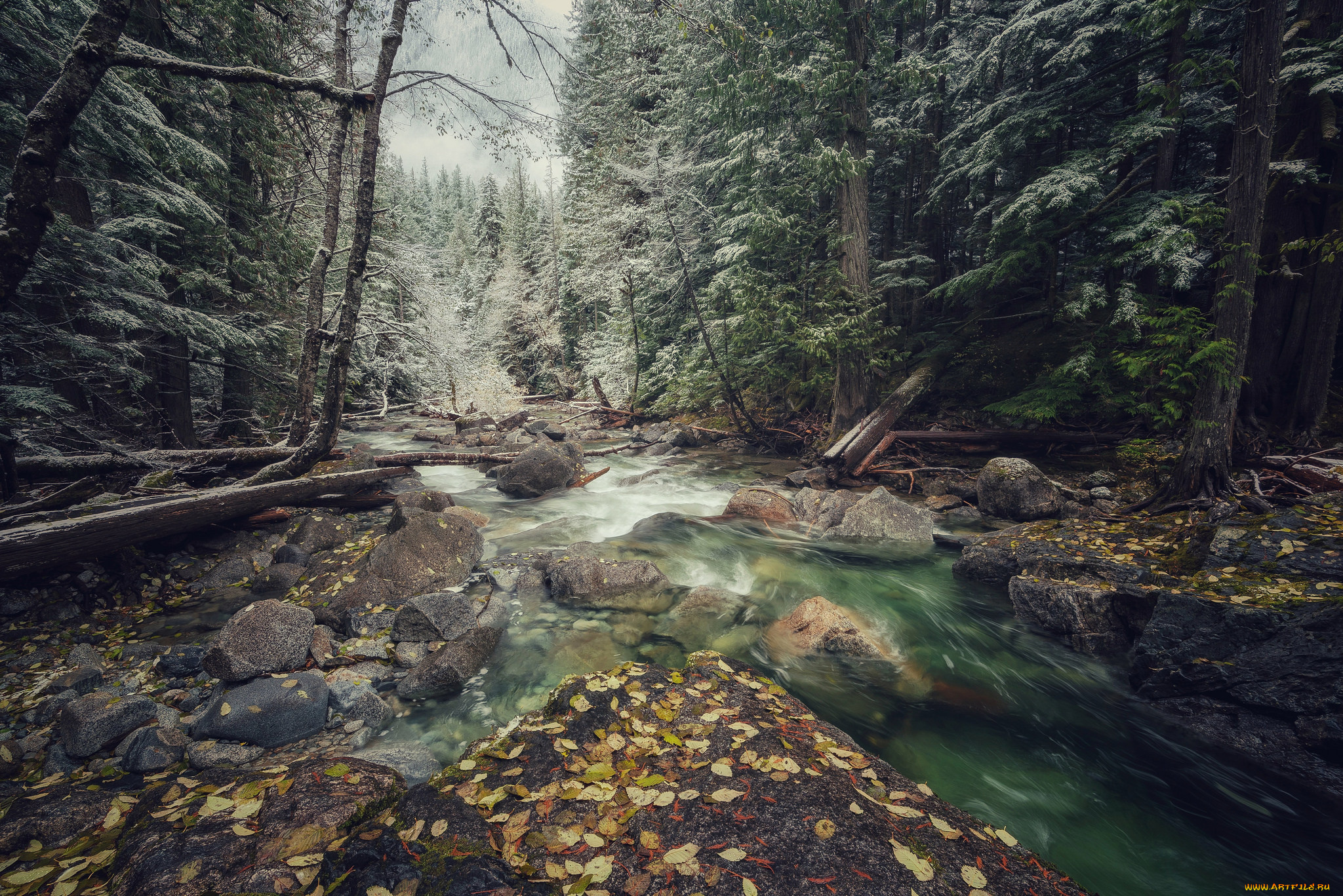 природа, реки, озера, простор