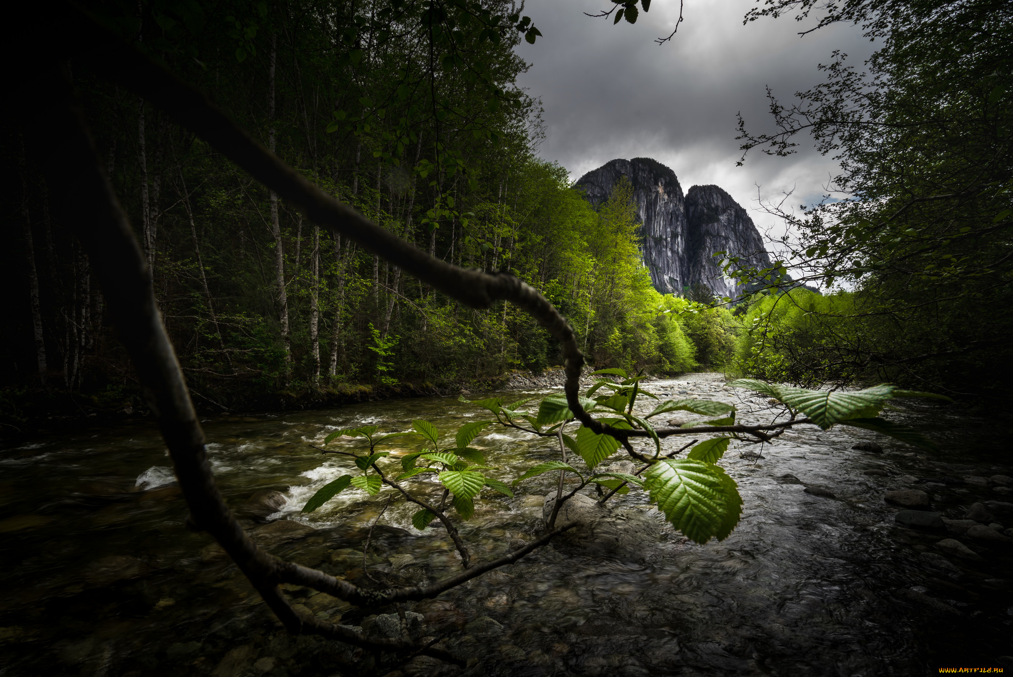 природа, реки, озера, простор