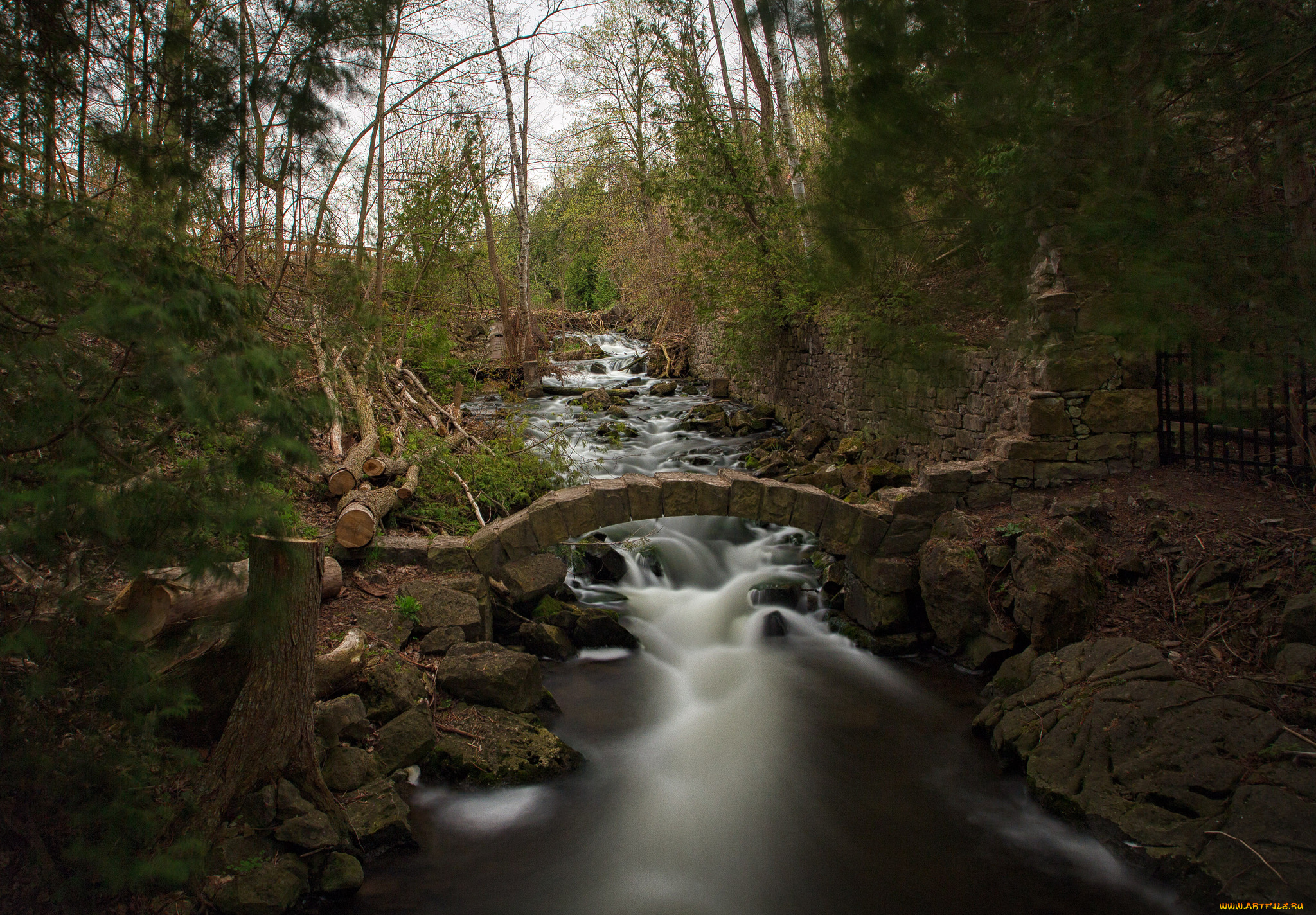 природа, реки, озера, простор