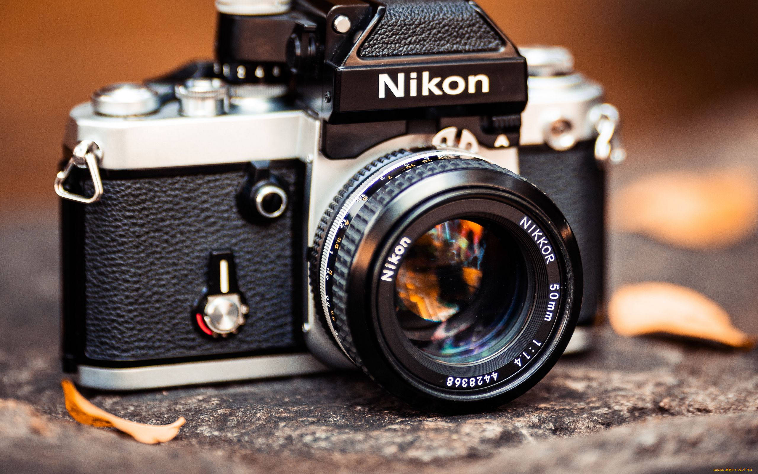 бренды, nikon, фотоаппарат