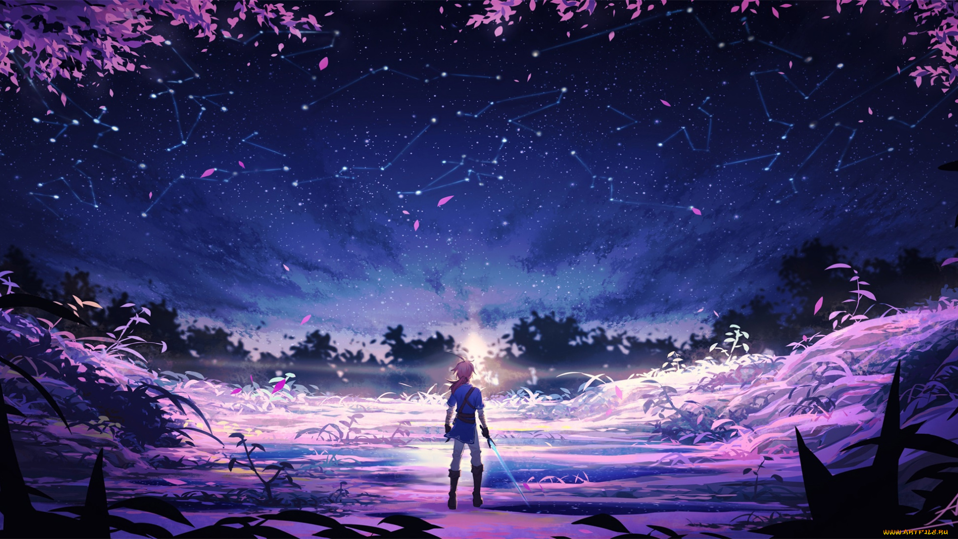 видео, игры, the, legend, of, zelda, линк, цветы, свет, созвездия