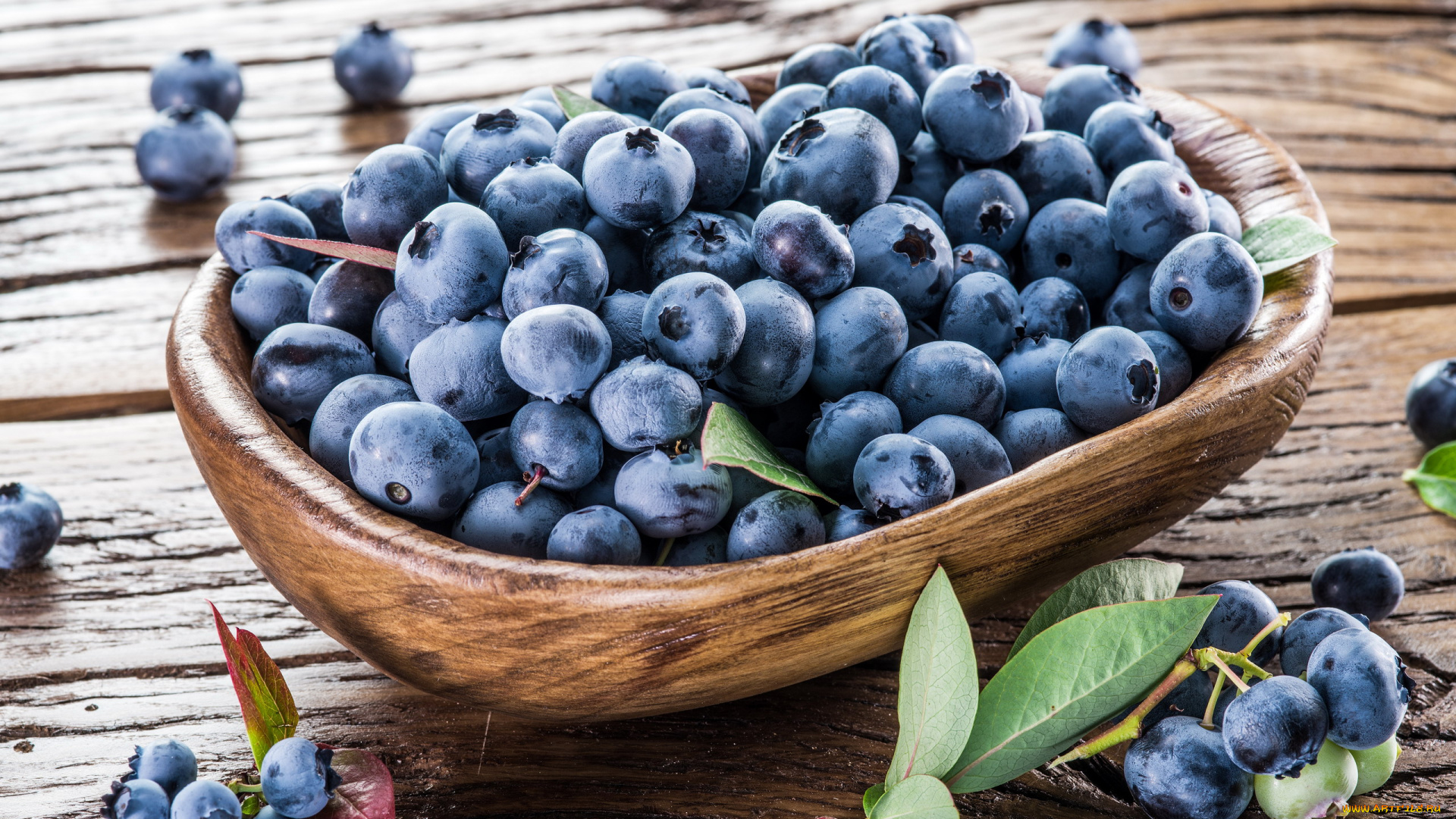 еда, голубика, , черника, ягоды, черника, крупная